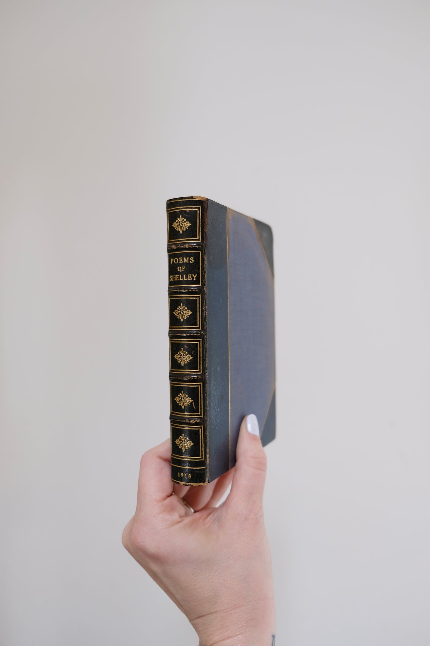 Set of Dark Blue Antique Books