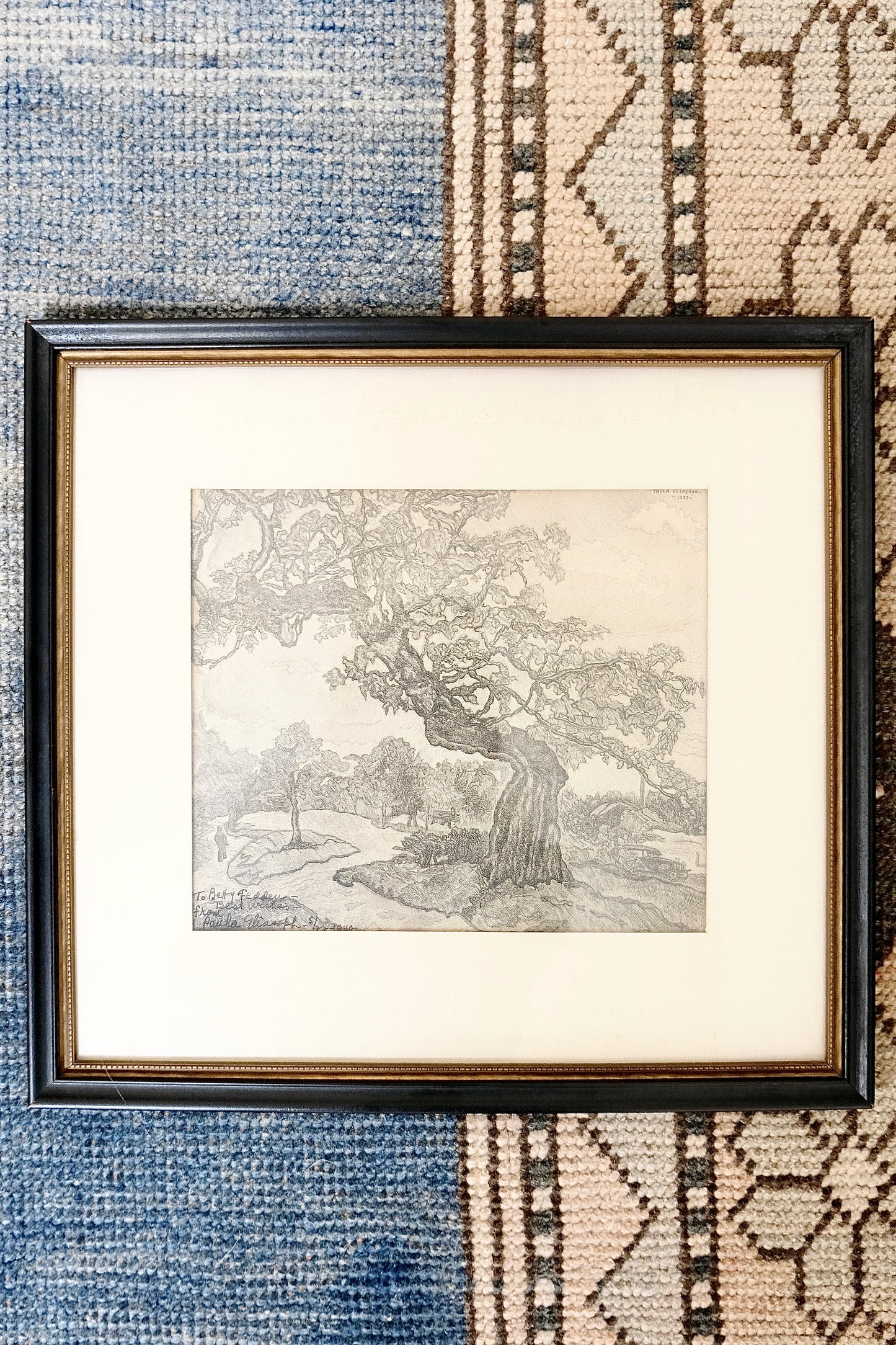 Vintage Etching Titled "Central Park Tree" by Paula Eliasoph