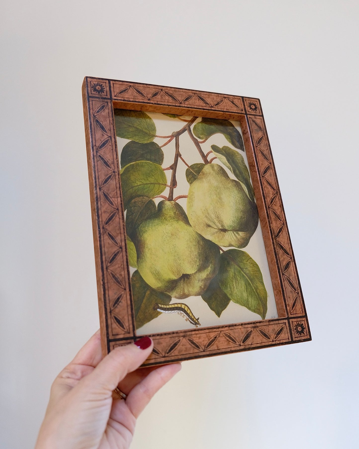 Vintage Framed Fruit Art