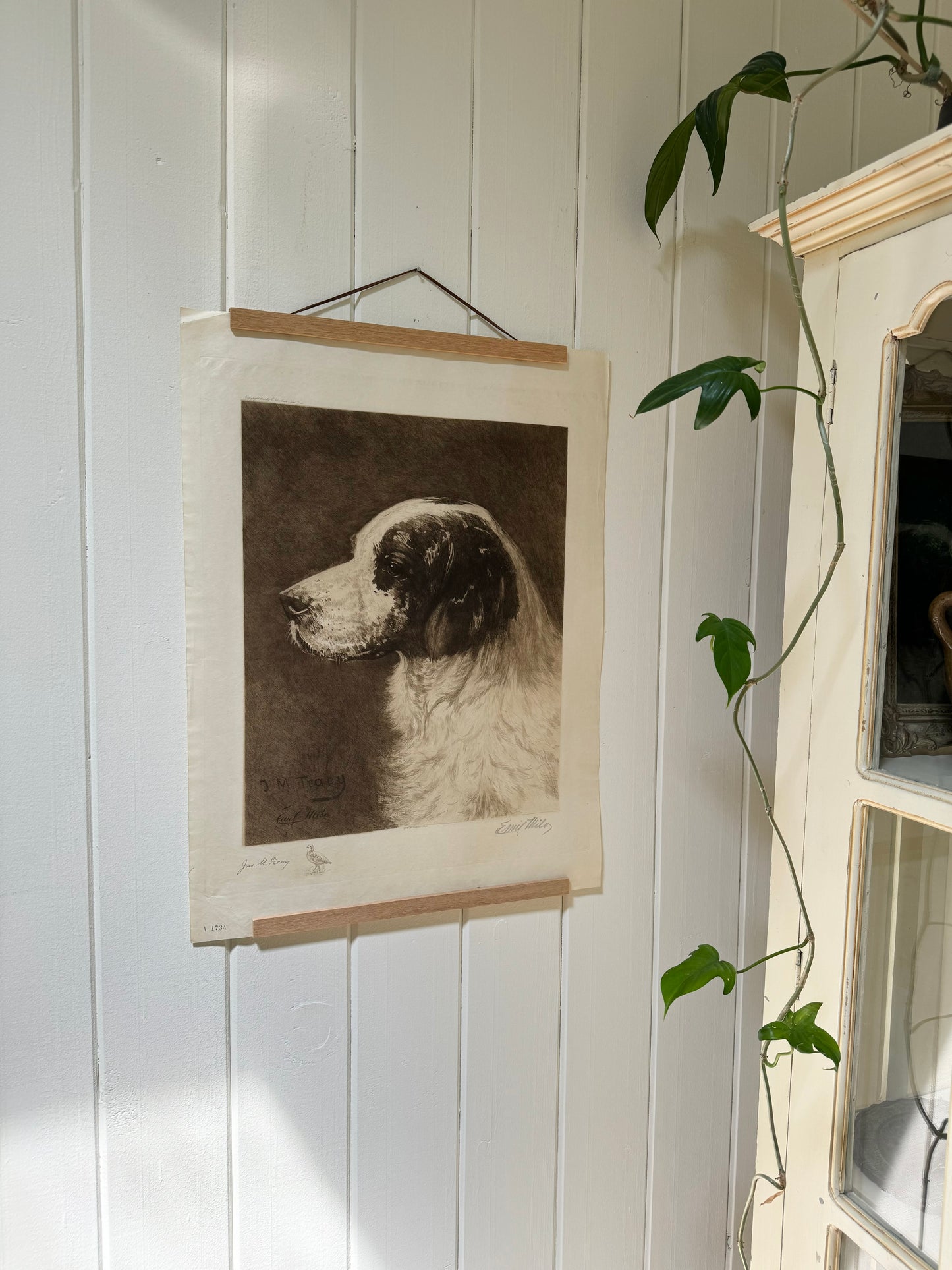 Dog Portrait Etching by John M. Tracy, 1897