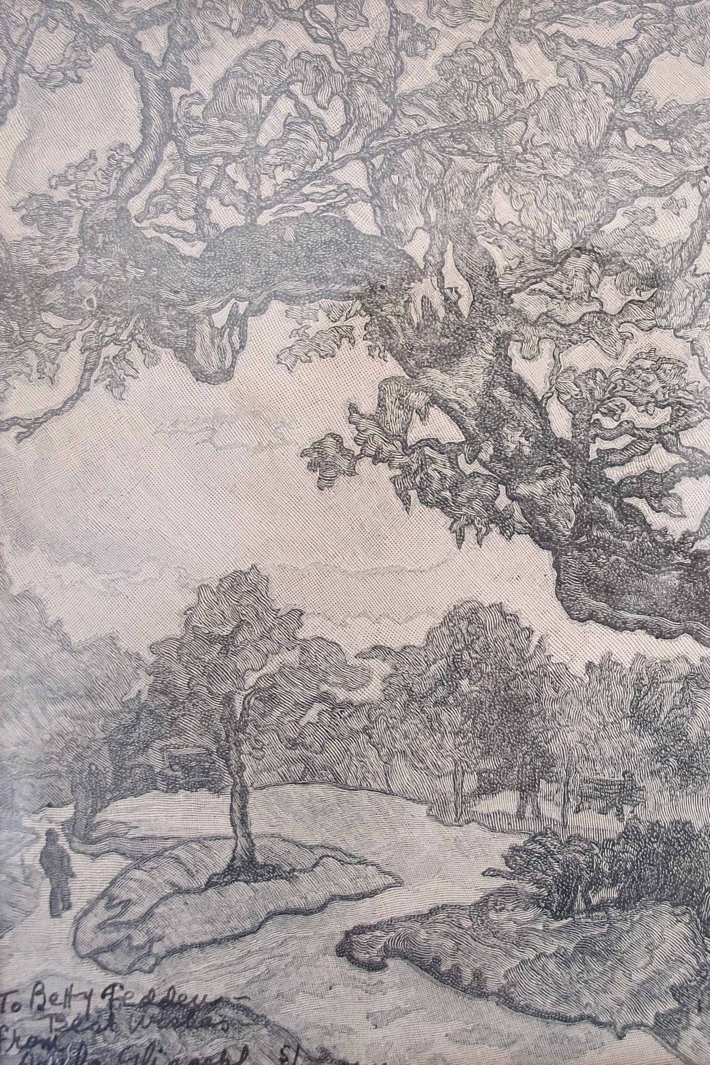 Vintage Etching Titled "Central Park Tree" by Paula Eliasoph
