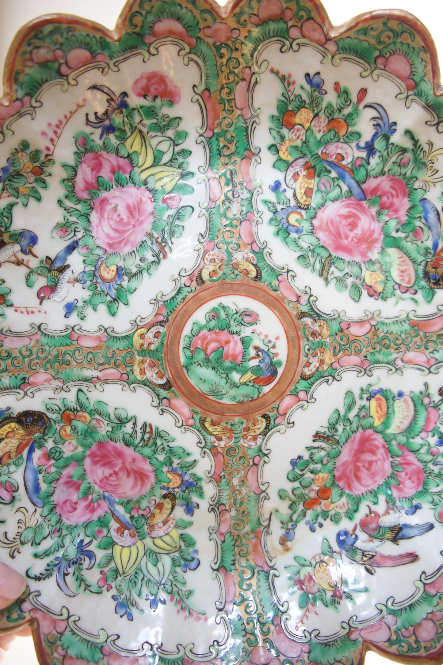 19th Century Rose Medallion Scalloped Porcelain Plate
