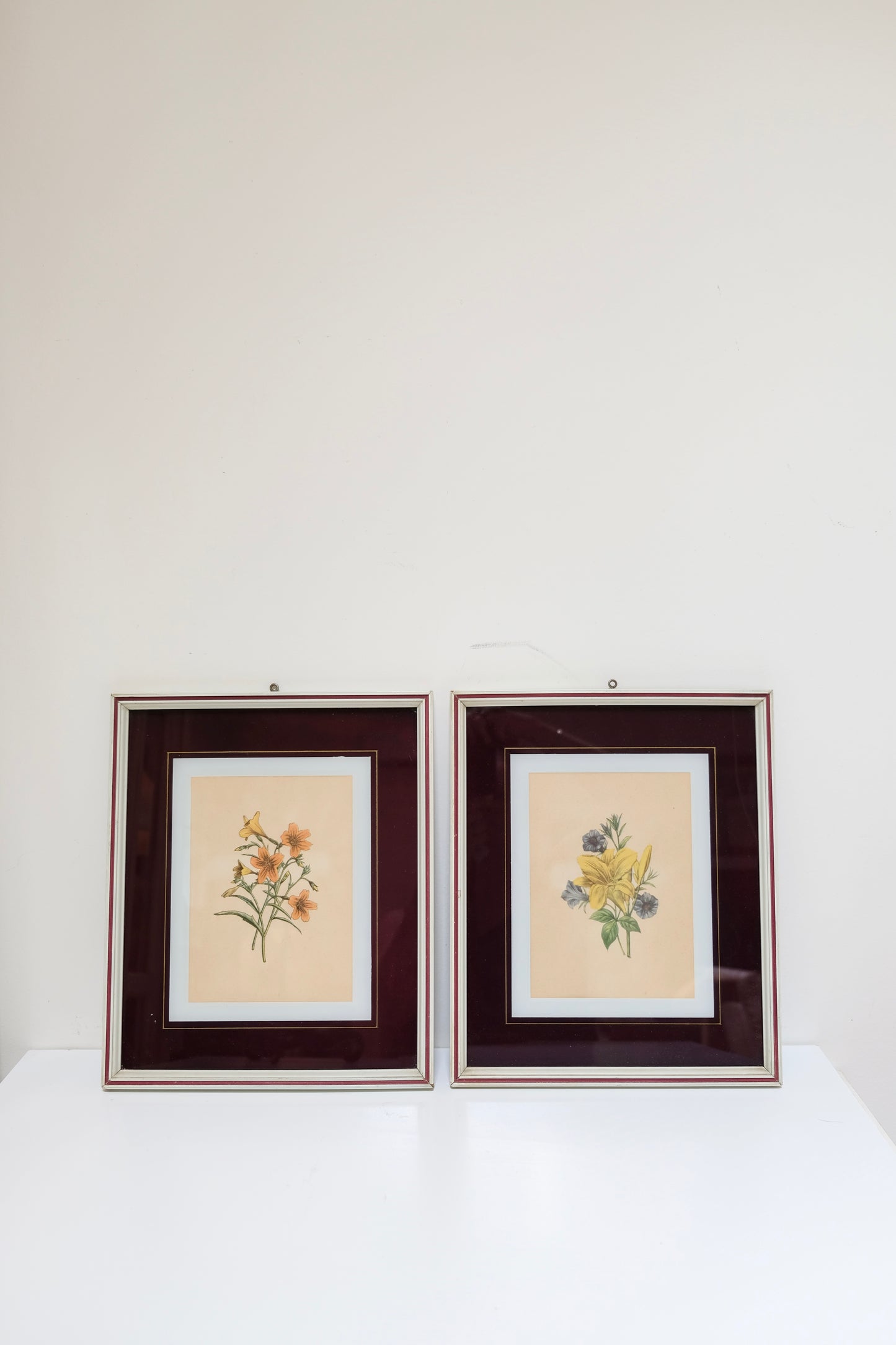 Set of Two Vintage Botanical Prints – Maroon Mat