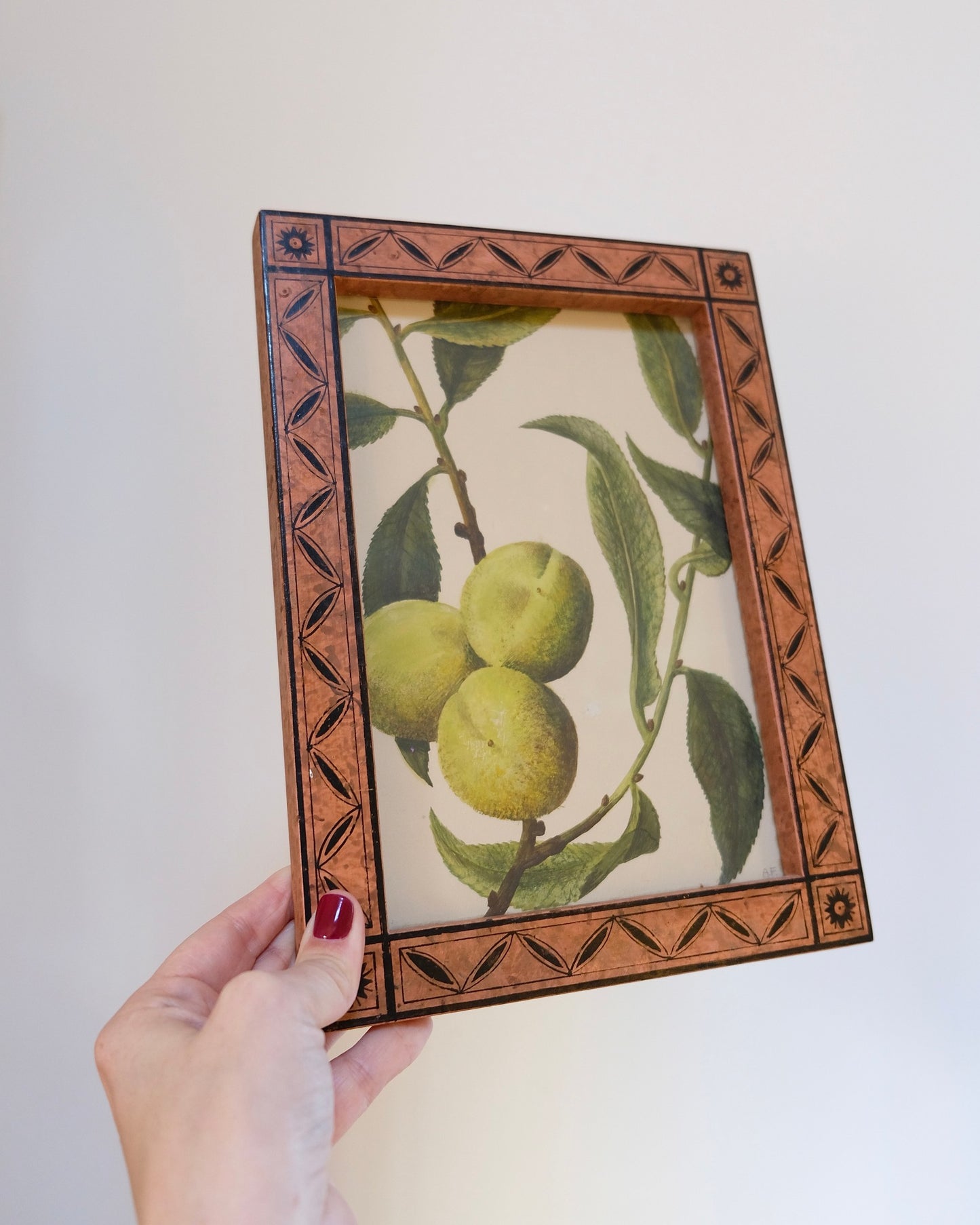 Vintage Framed Fruit Art