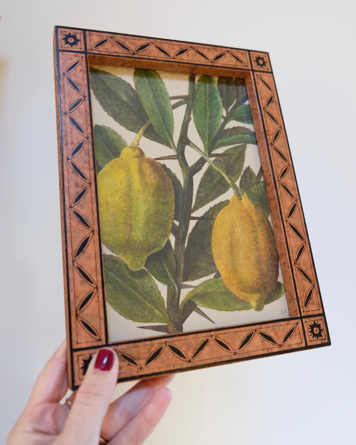 Vintage Framed Fruit Art