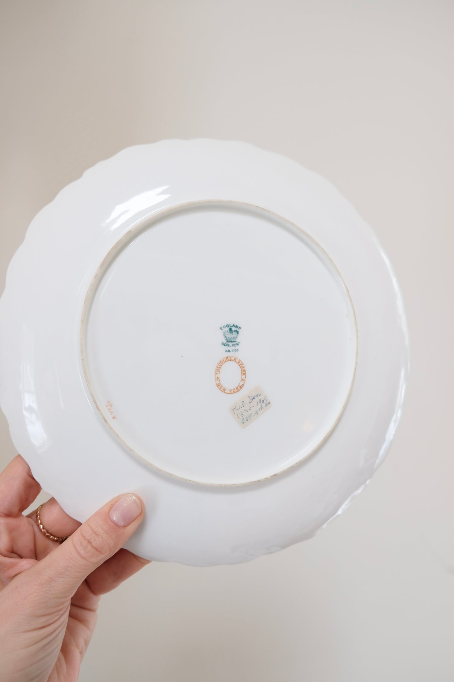 Set of 5 Antique Theodore B. Starr New York Plates from Coalport, England