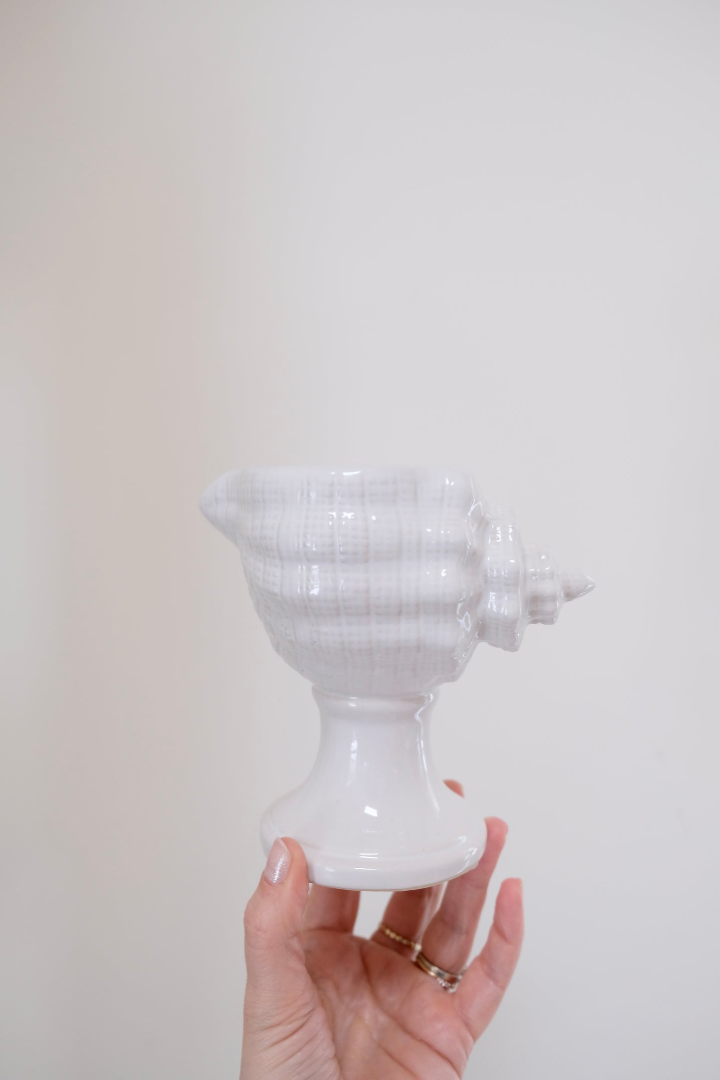 Sweet Ceramic Conch Vases