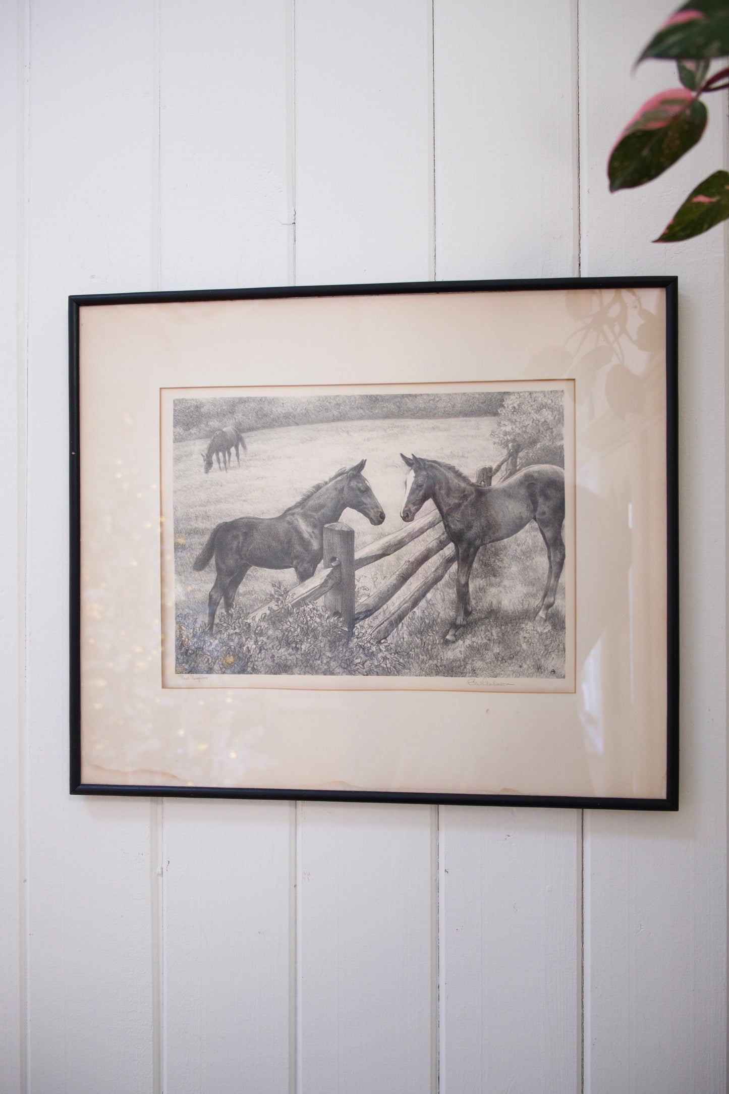 Sweetest Signed Horse Lithograph