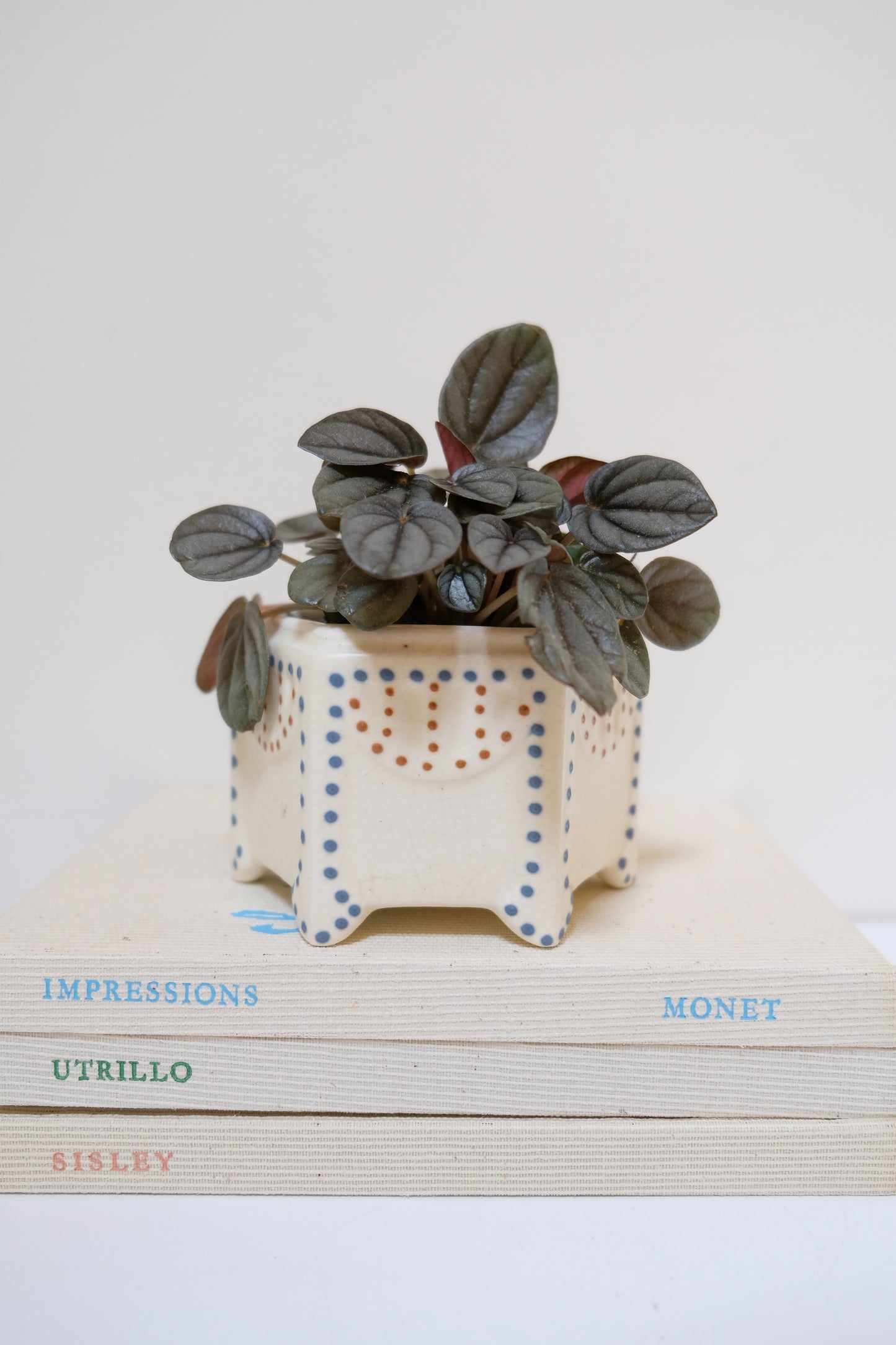Adorable Roseville Planter