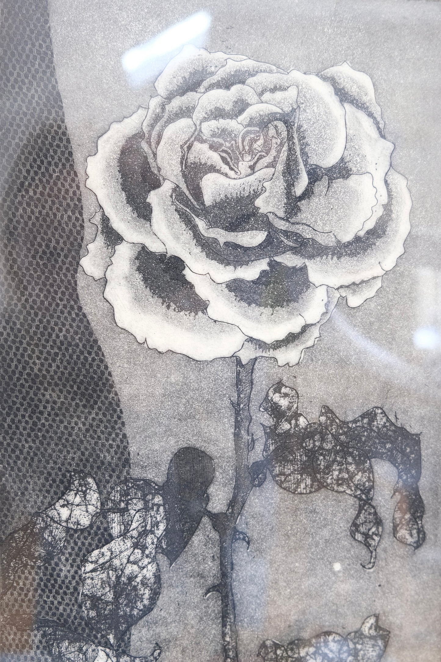 Beautiful Vintage Rose Lithograph