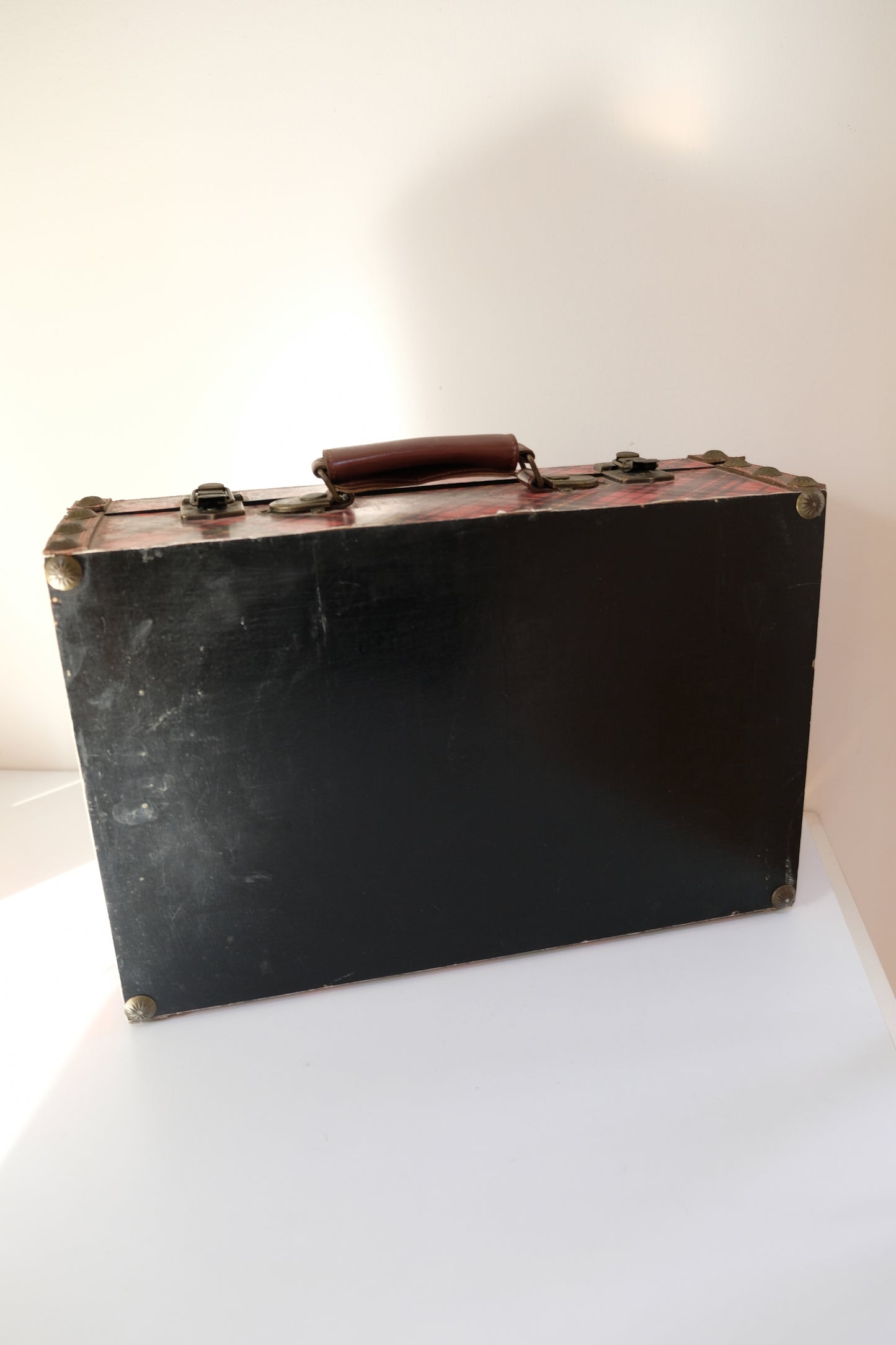 Vintage Hand-Painted Dog Tartan Case with Velvet Interior