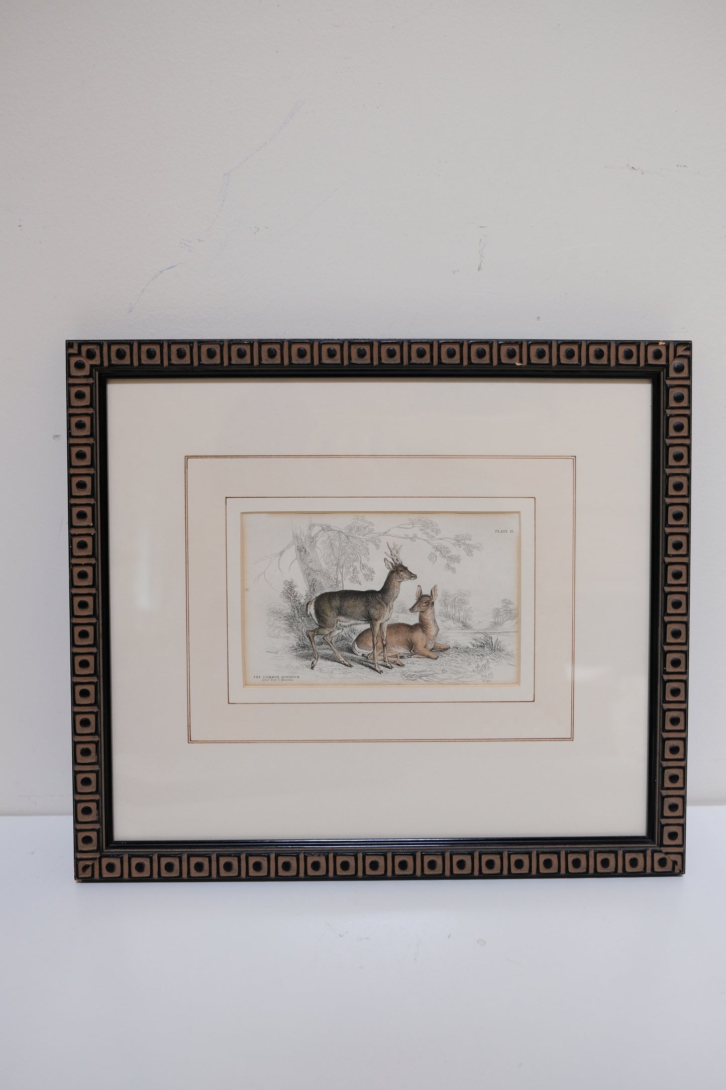 Pair of Antique Hand-Colored Deer Engravings