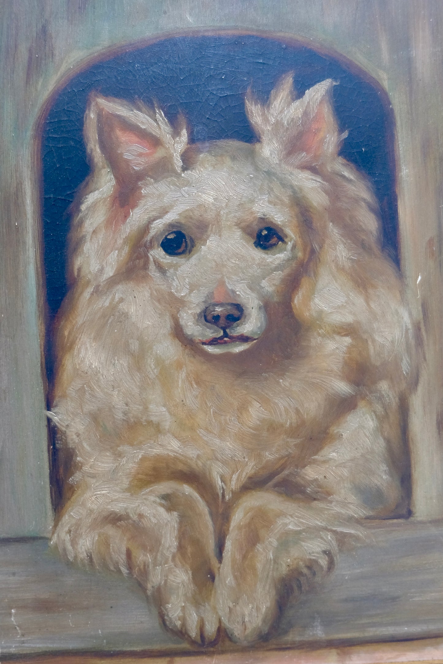 Antique Oil Painting of a Spitz Looking Out The Window
