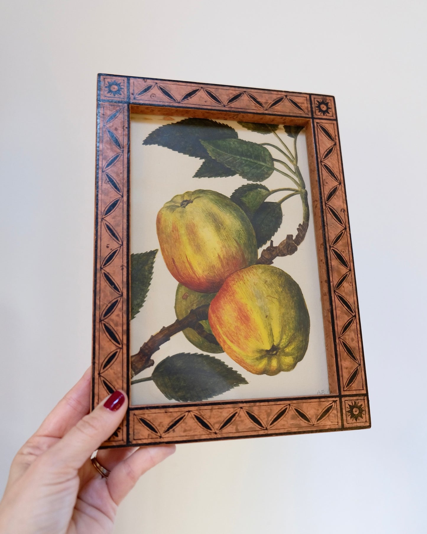 Vintage Framed Fruit Art