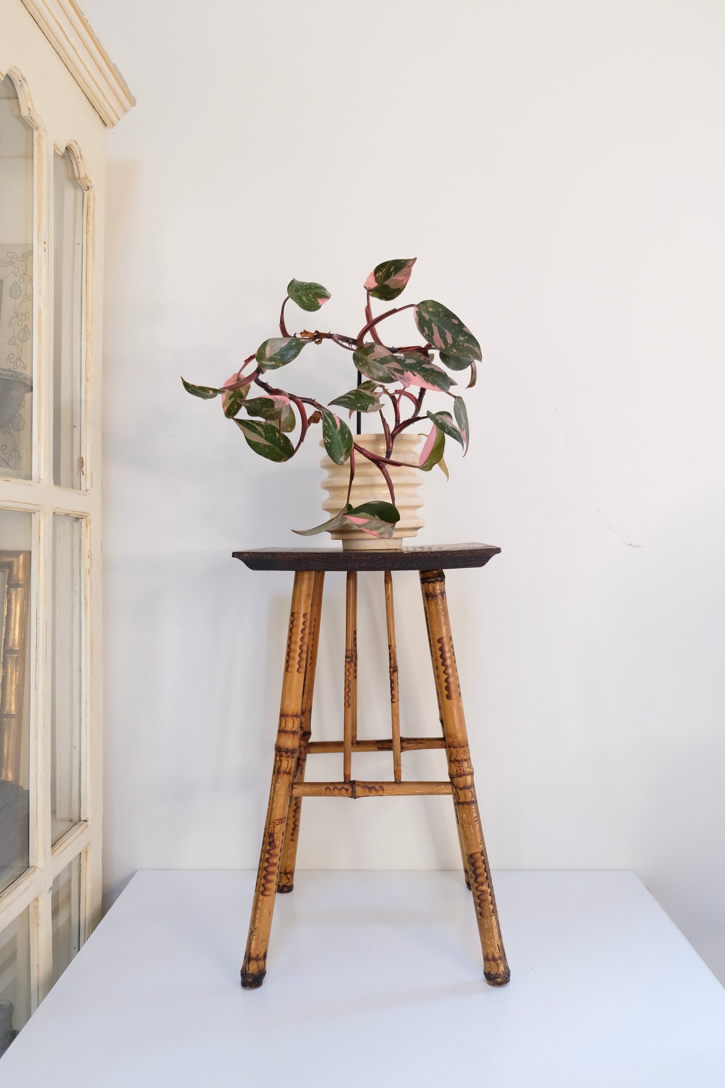 Vintage Burnt Bamboo Plant Stand with Wooden Top