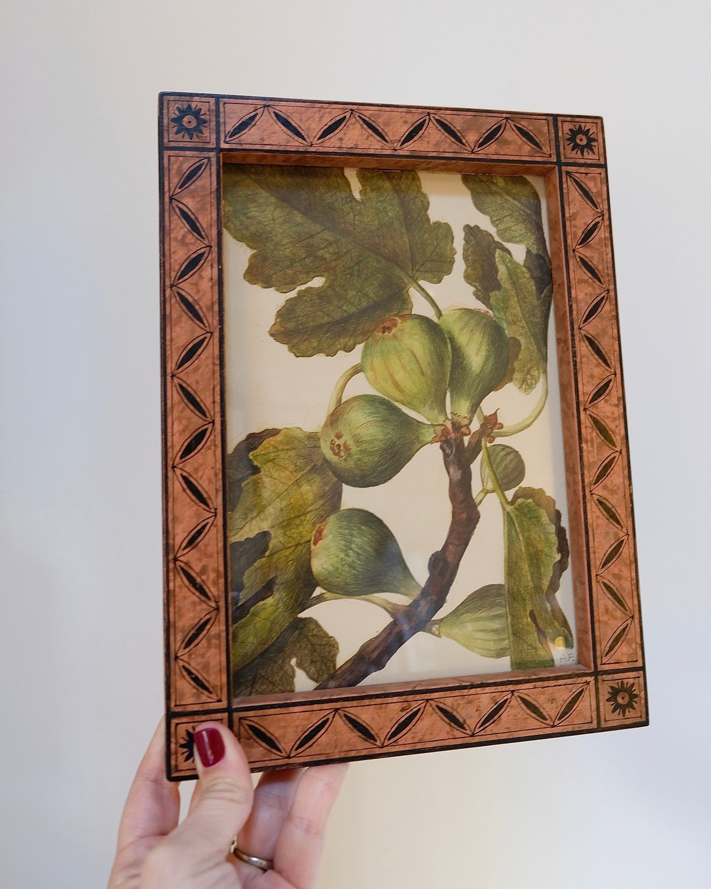 Vintage Framed Fruit Art