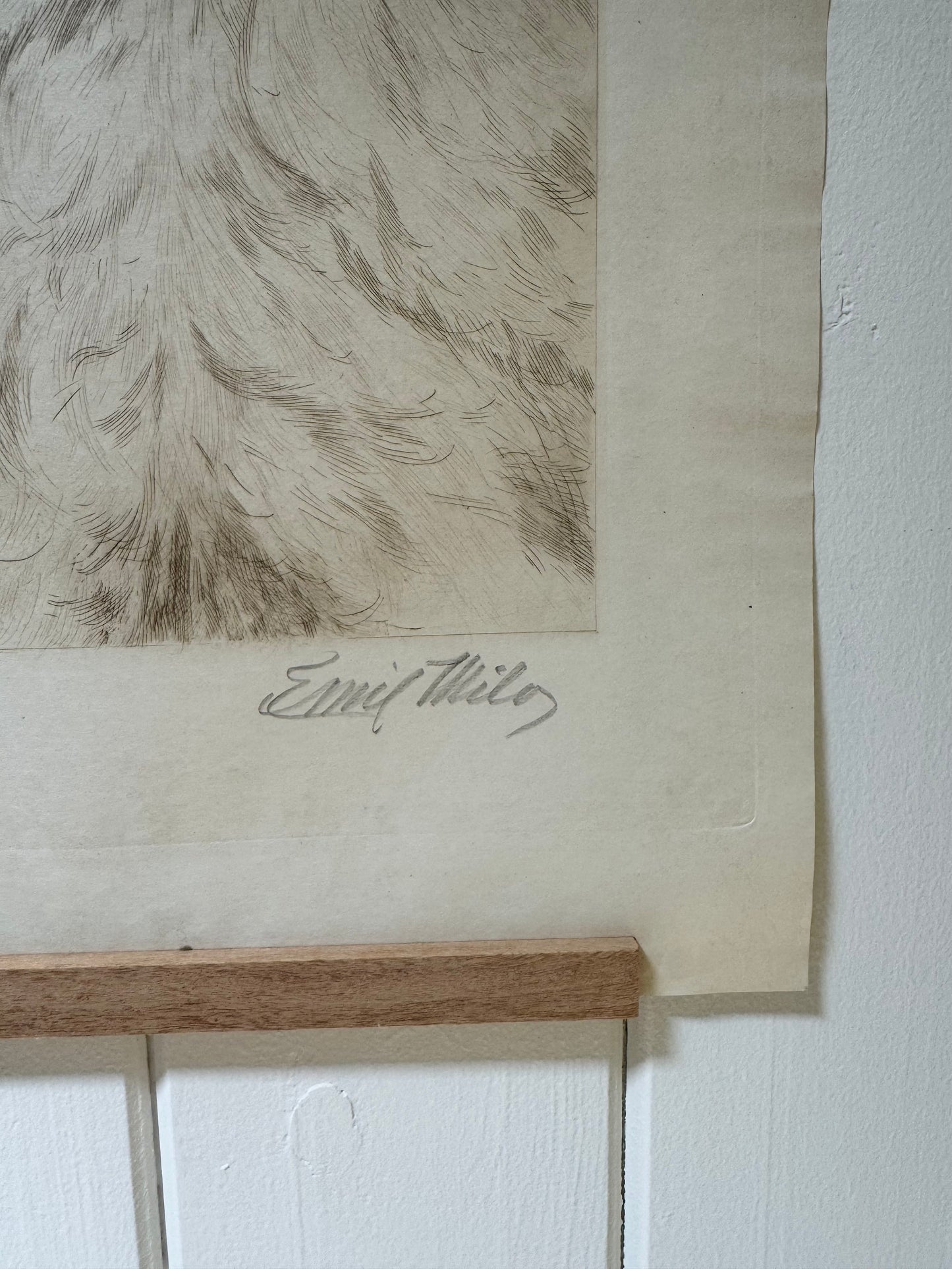 Dog Portrait Etching by John M. Tracy, 1897
