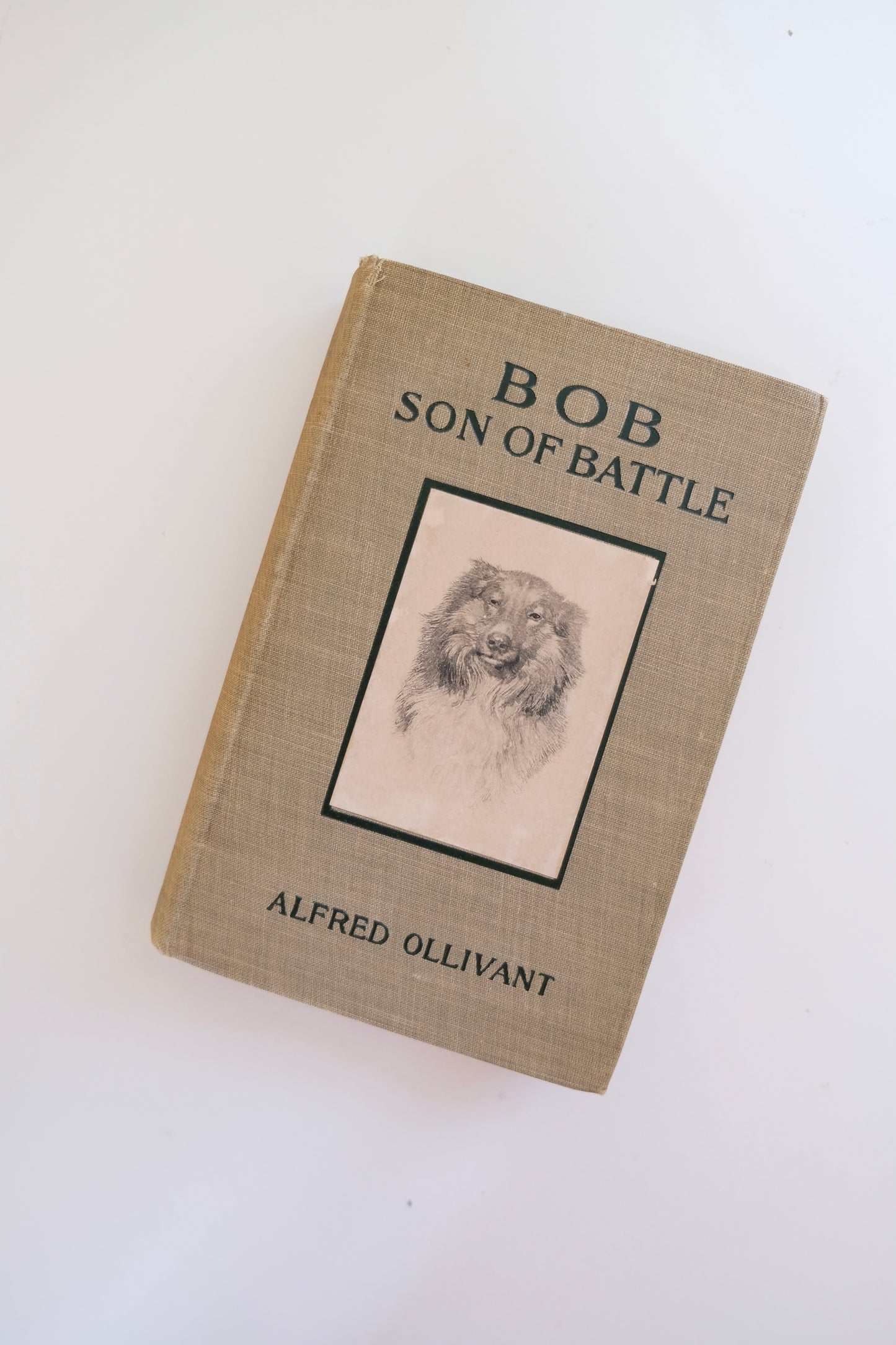 Bob, Son of Battle – Alfred Ollivant (1901)