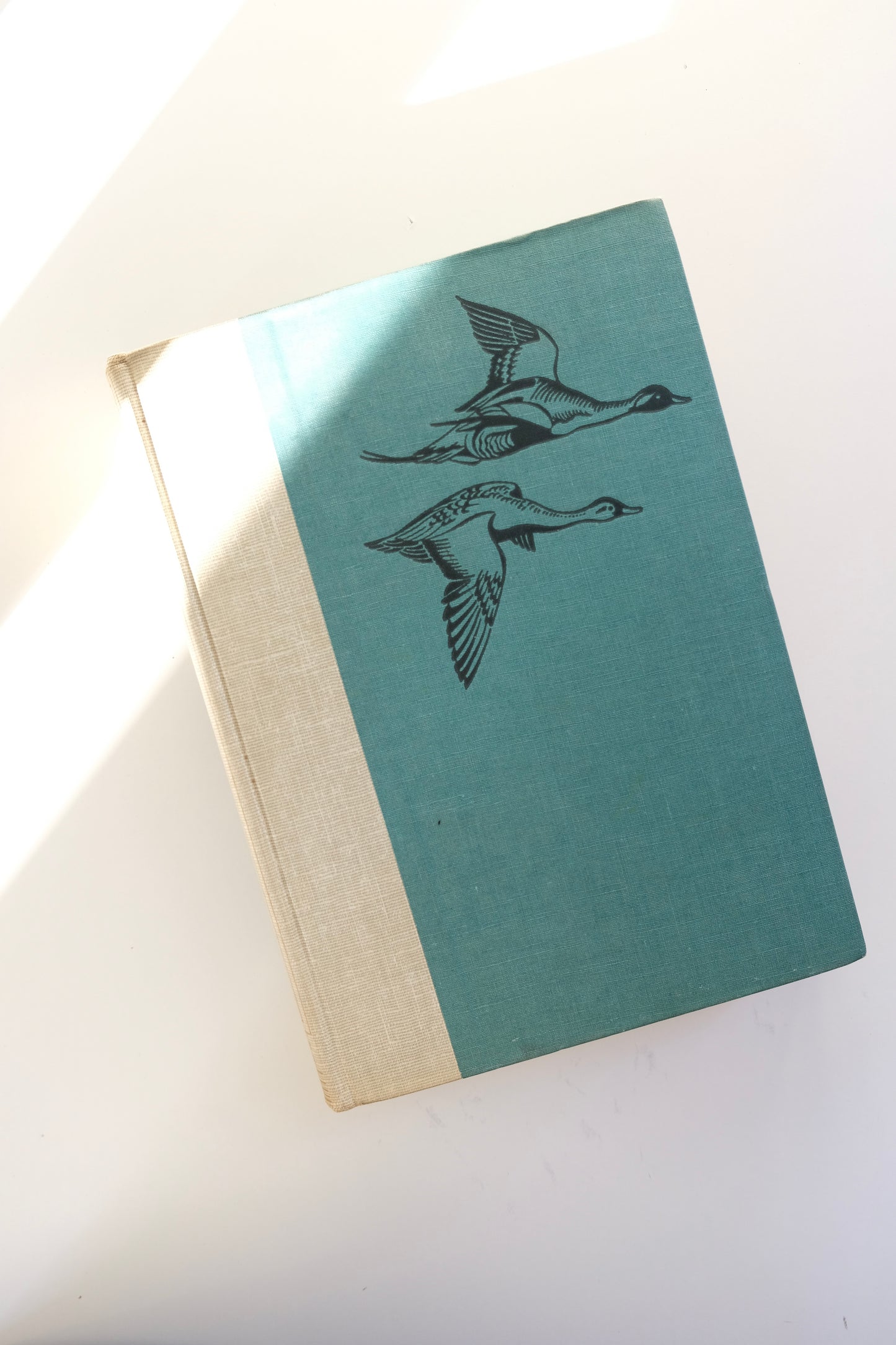 Birds of America from Garden City Publishing (1936)