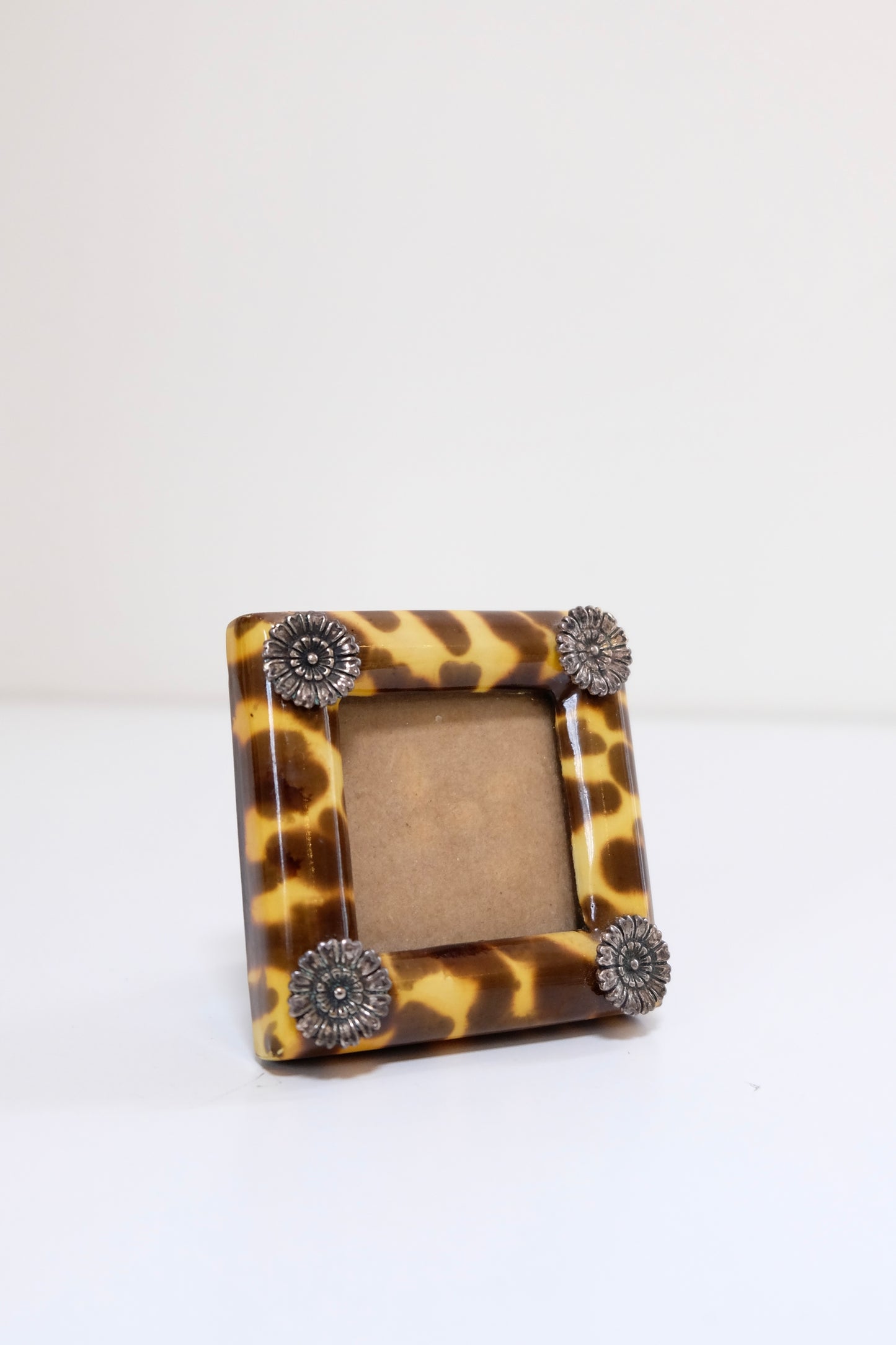 Vintage Painted Leopard Square Frame