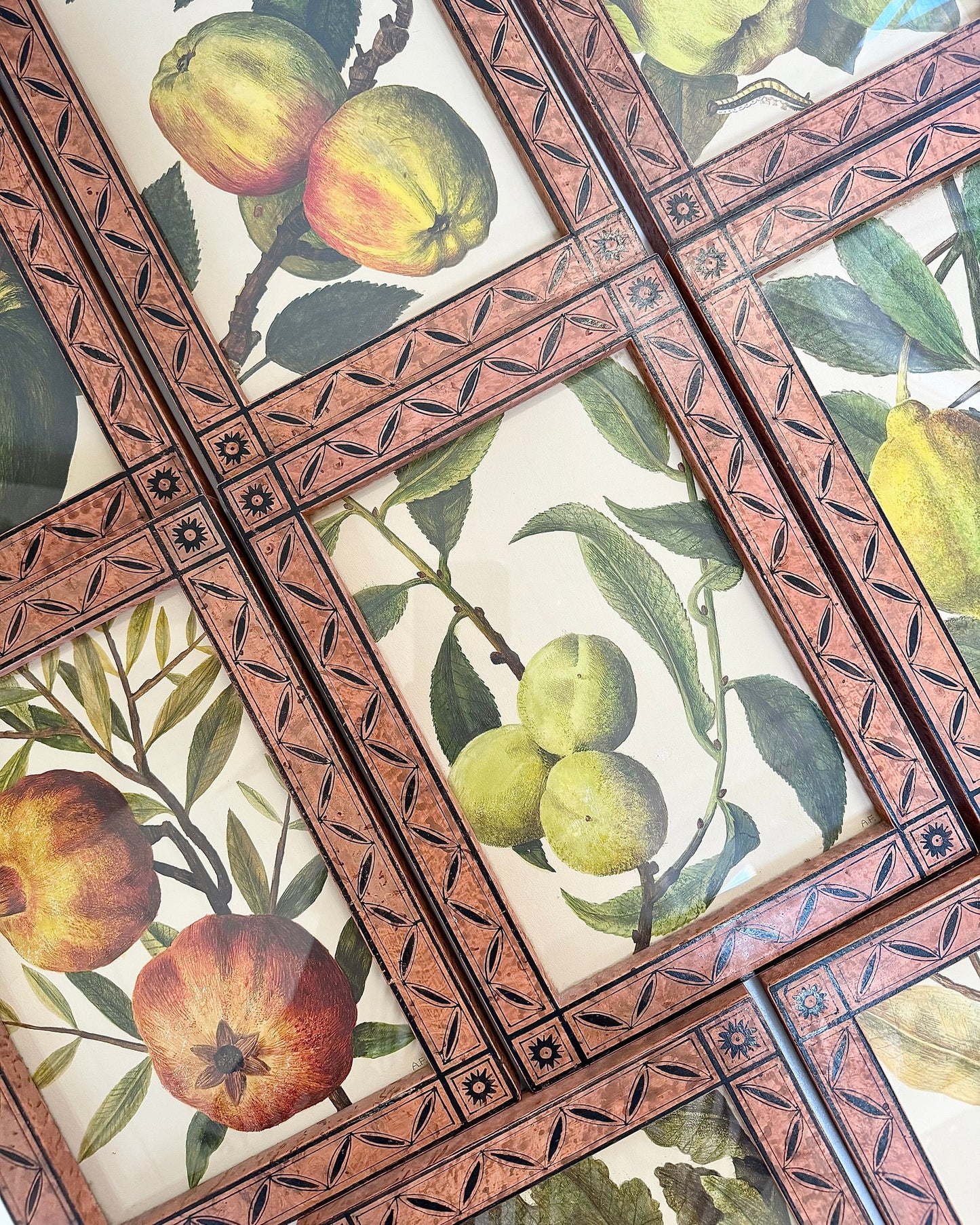 Vintage Framed Fruit Art