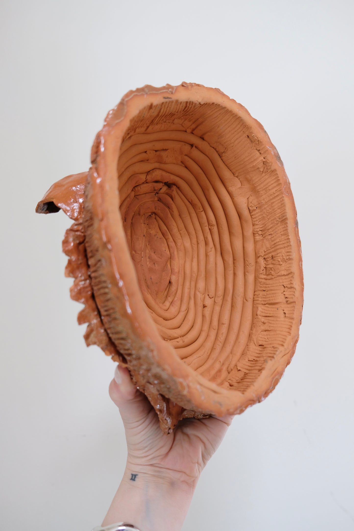 Amazing Hand-Made Pottery Lion Bust