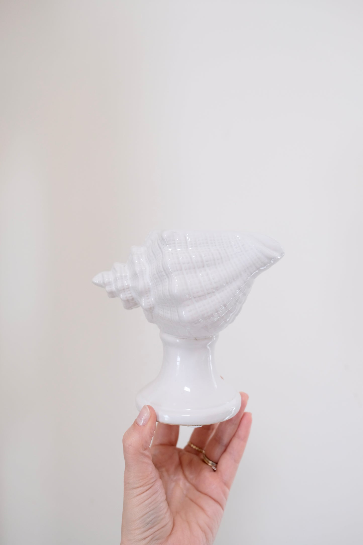 Sweet Ceramic Conch Vases