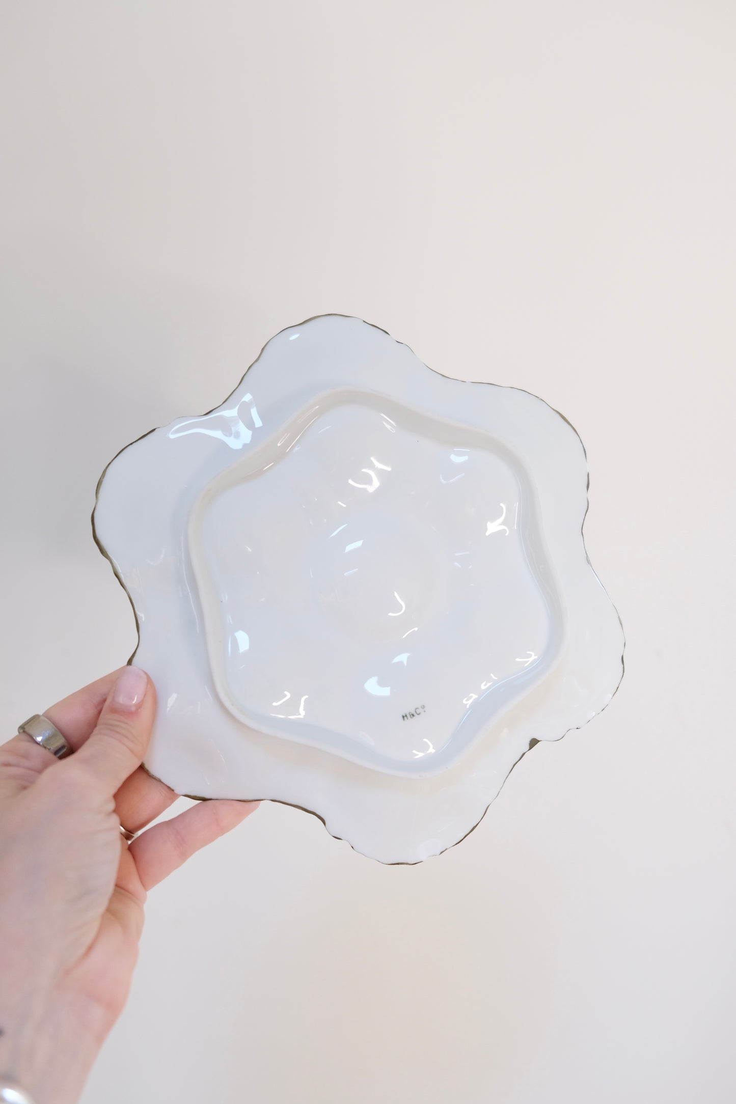 Antique Haviland Limoges Porcelain Oyster Plates