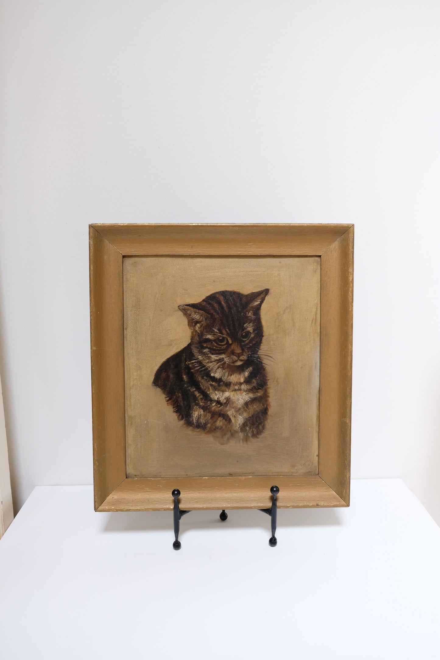 Antique Framed Oil Painting of a Cat (1909)