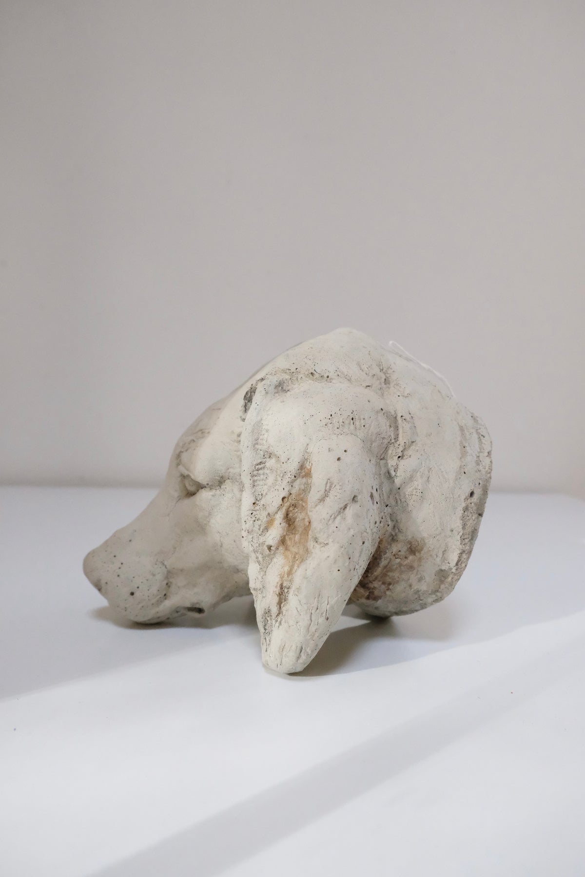 Vintage Concrete Dachshund Bust