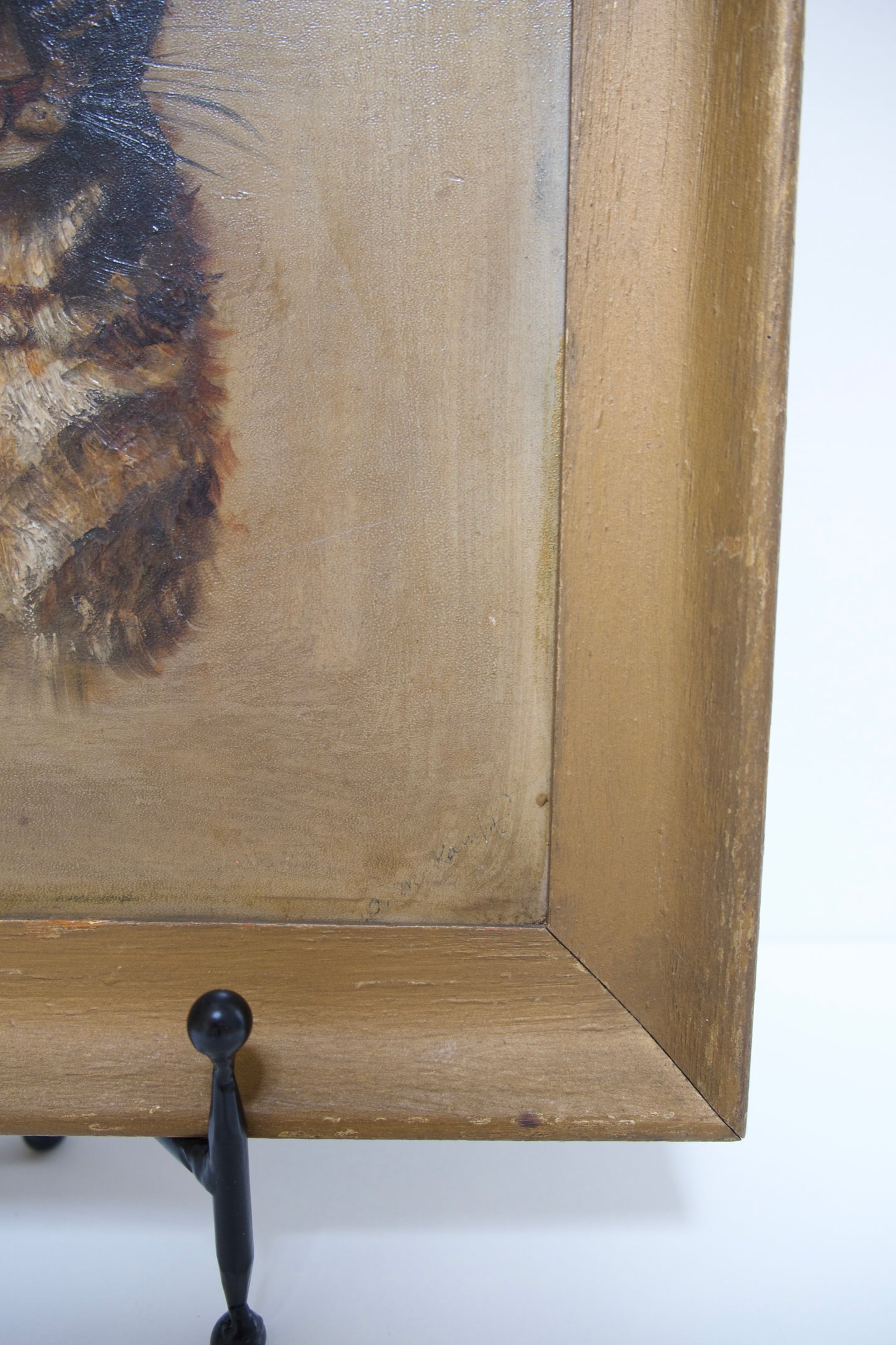 Antique Framed Oil Painting of a Cat (1909)