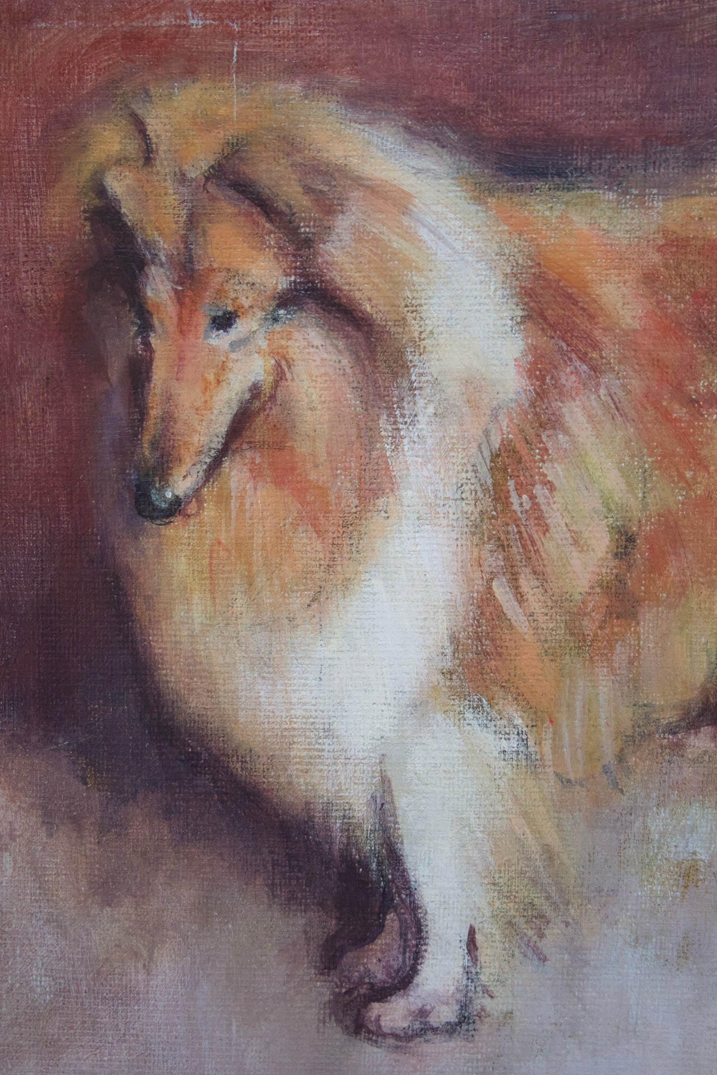 Antique Signed Collie Oil Painting on Board, Found in London