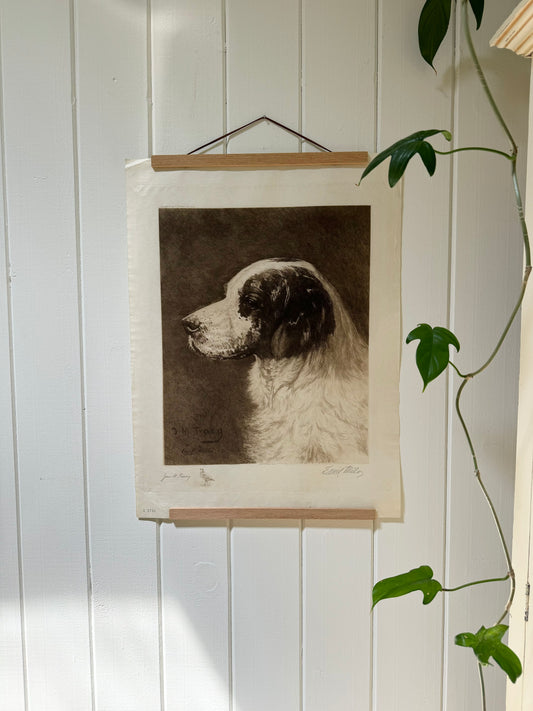 Dog Portrait Etching by John M. Tracy, 1897