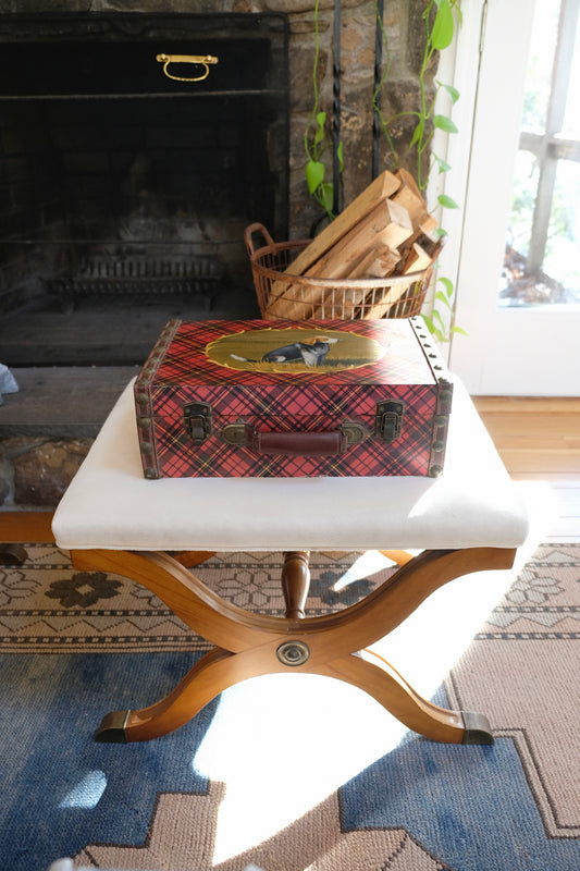Vintage Hand-Painted Dog Tartan Case with Velvet Interior