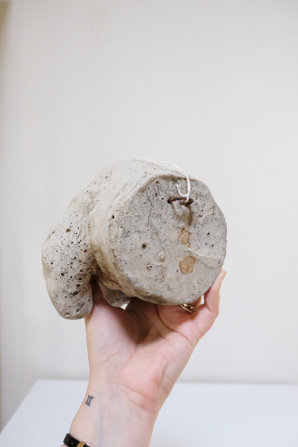 Vintage Concrete Dachshund Bust
