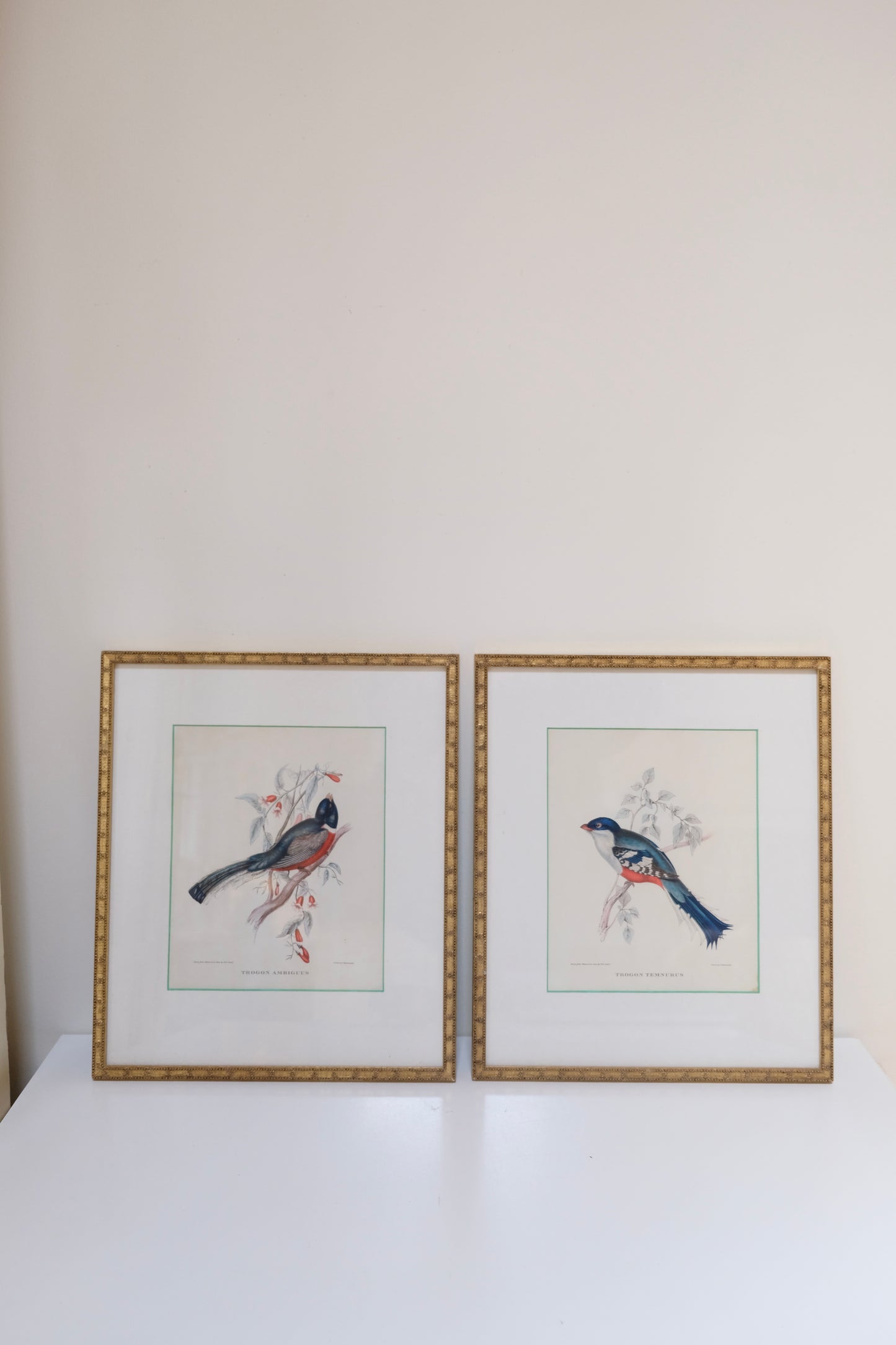 Pair of Vintage Bird Prints in Gold Beaded Frames