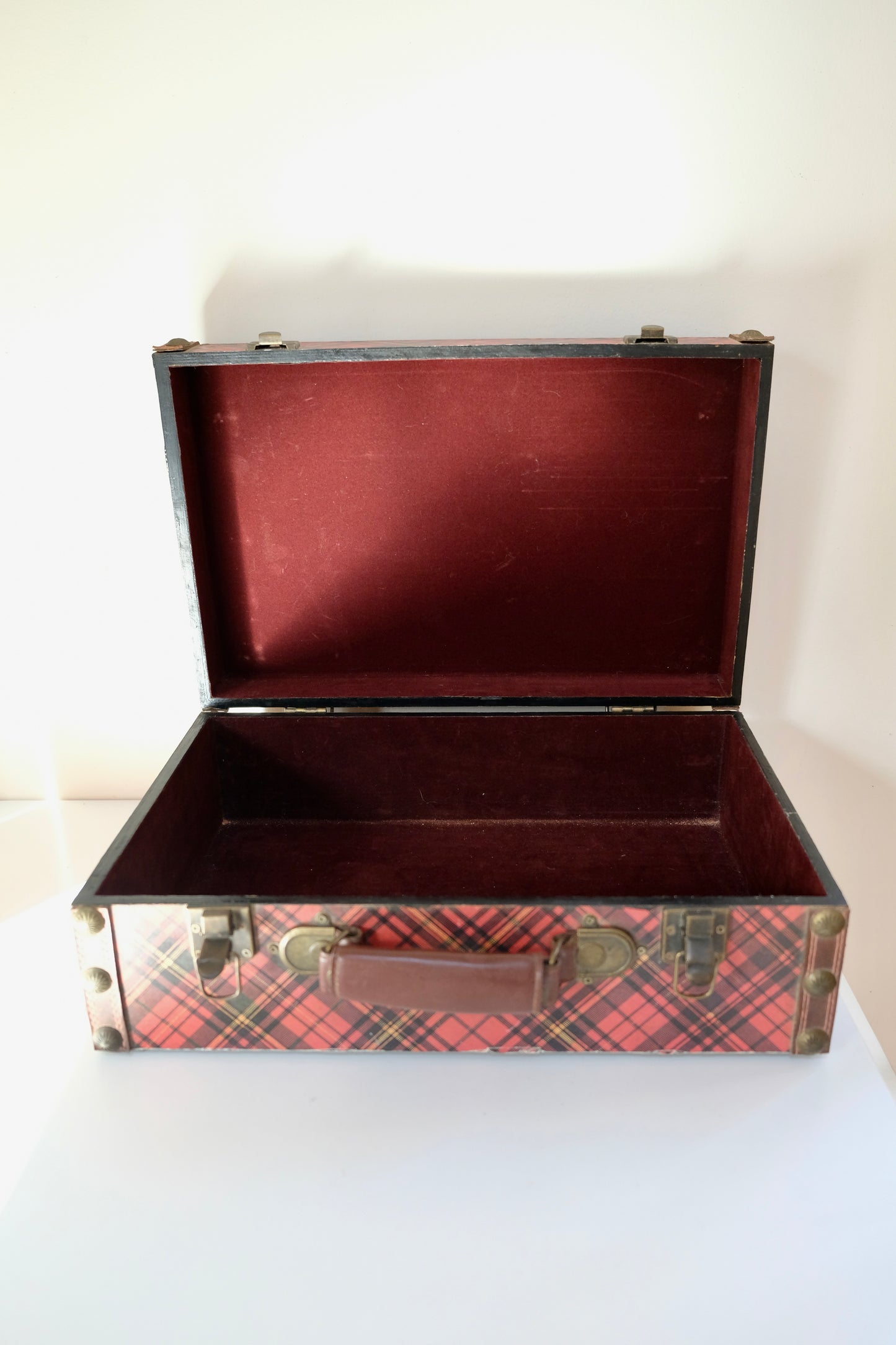 Vintage Hand-Painted Dog Tartan Case with Velvet Interior