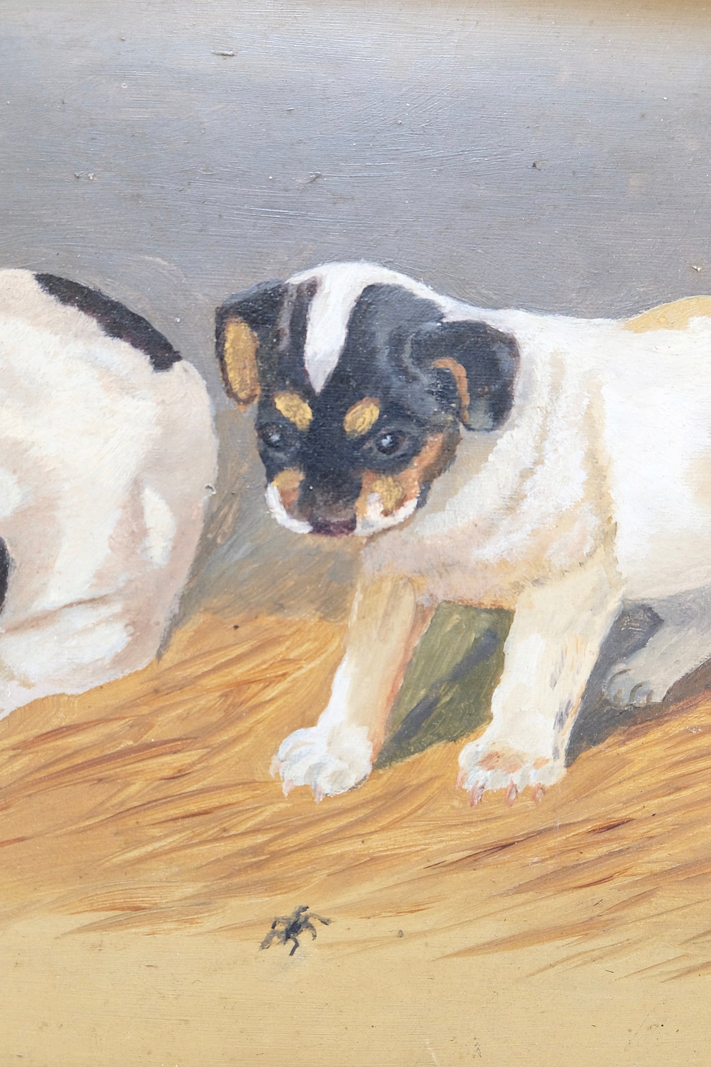 Antique Signed Oil Painting of Four Jack Russell Terrier Puppies