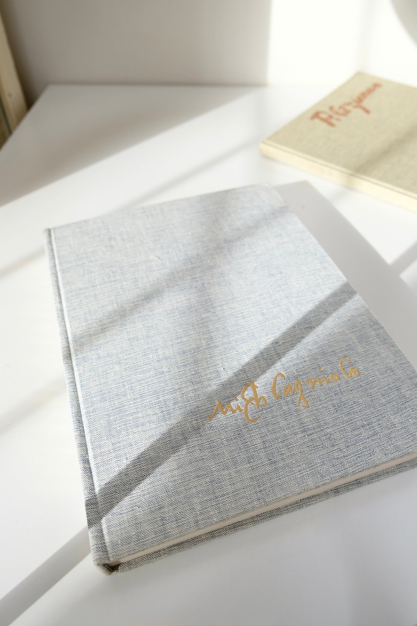 Michelangelo by Frederick Hartt (Abrams)