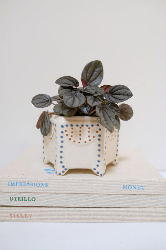 Adorable Roseville Planter