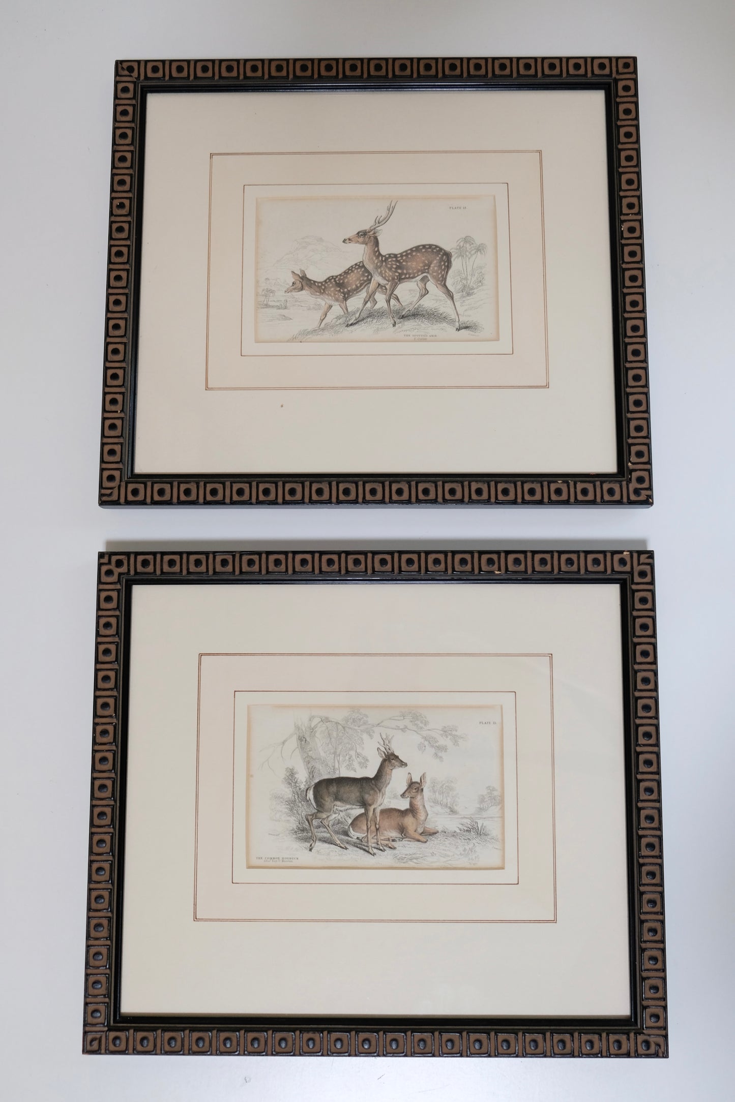 Pair of Antique Hand-Colored Deer Engravings