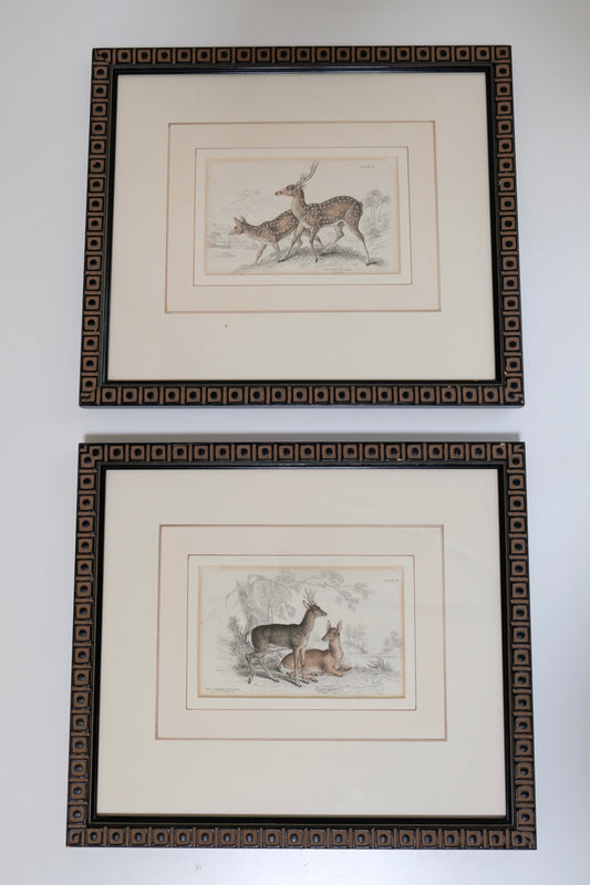 Pair of Antique Hand-Colored Deer Engravings