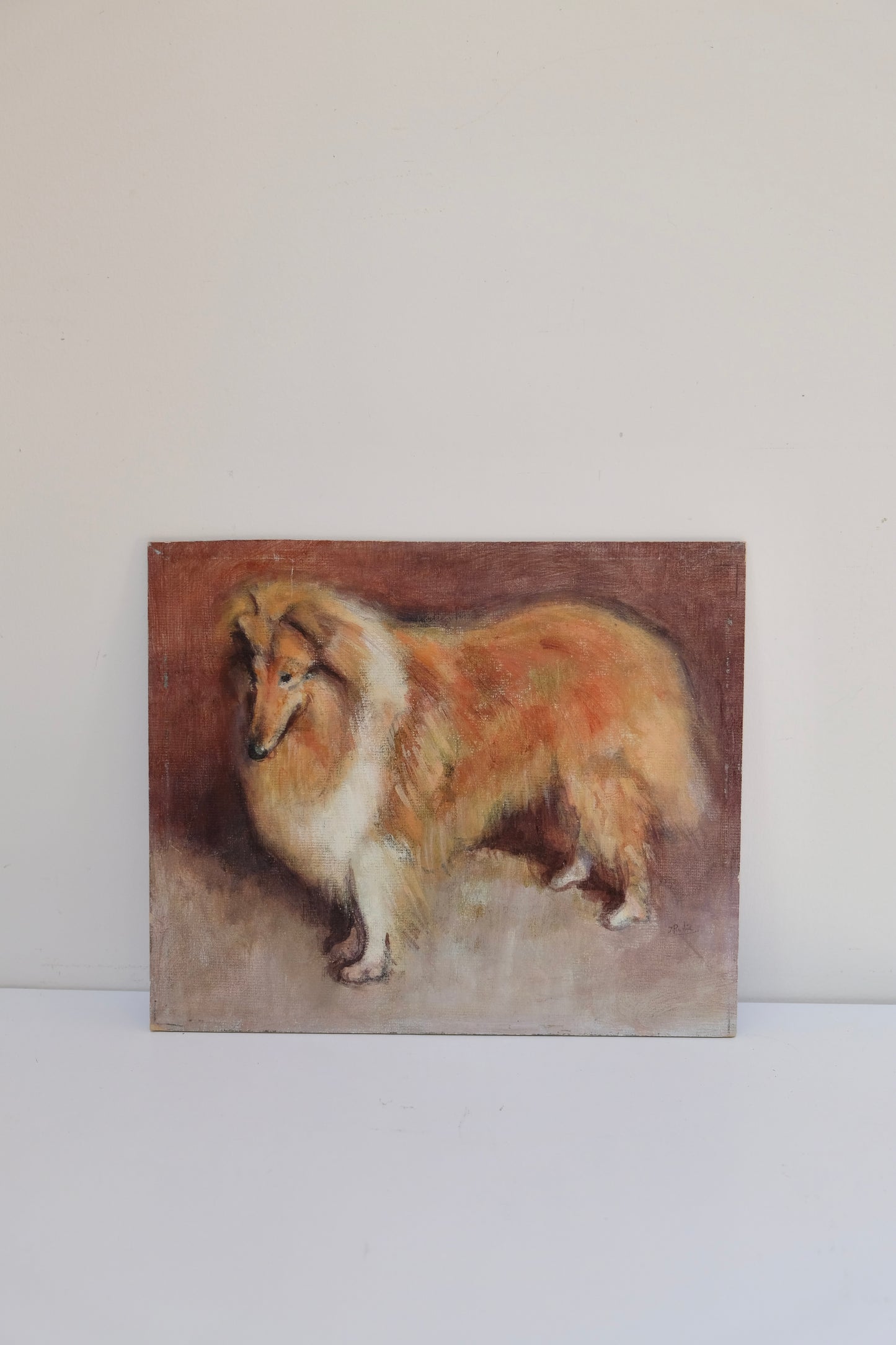Antique Signed Collie Oil Painting on Board, Found in London