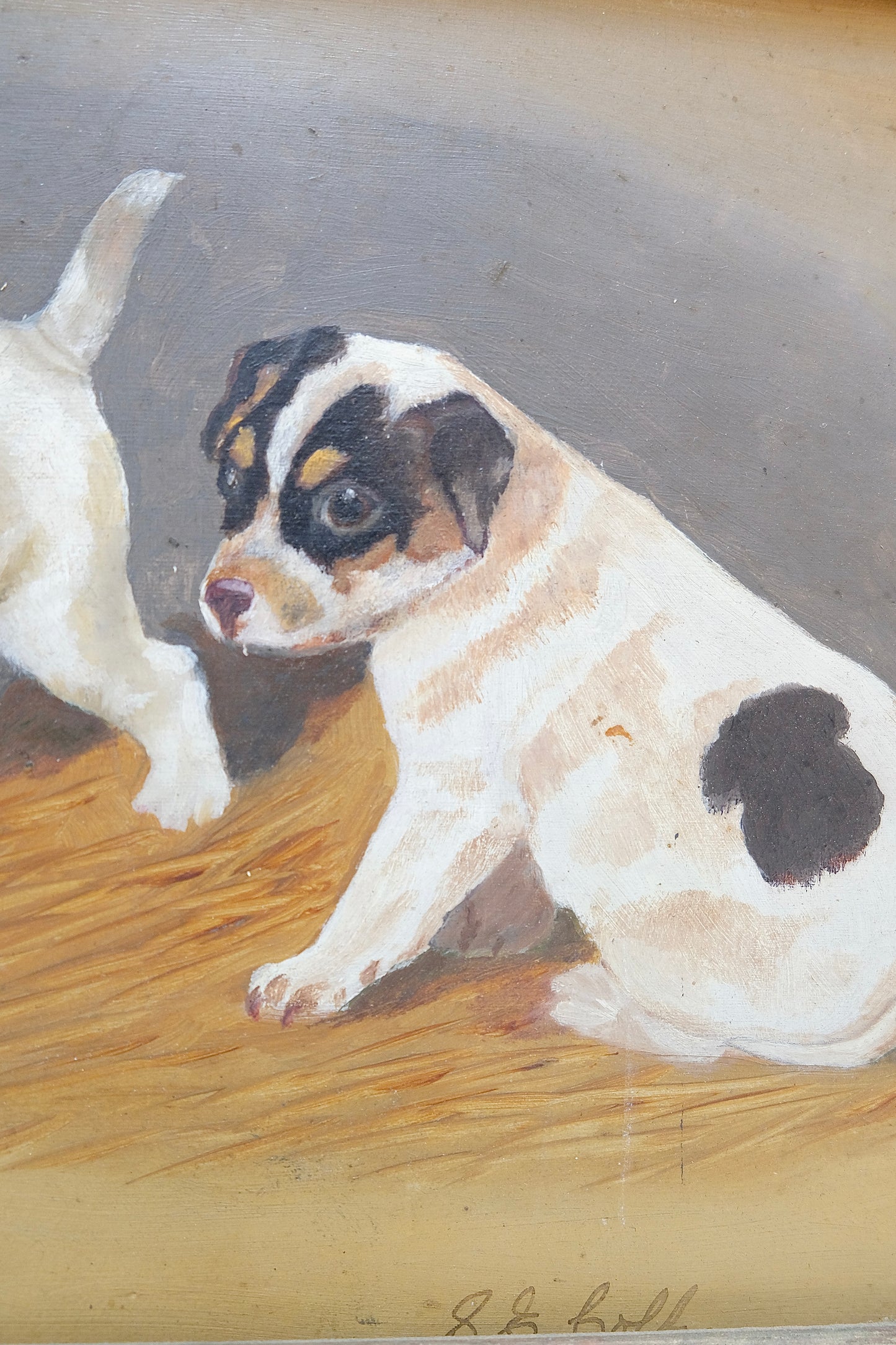 Antique Signed Oil Painting of Four Jack Russell Terrier Puppies