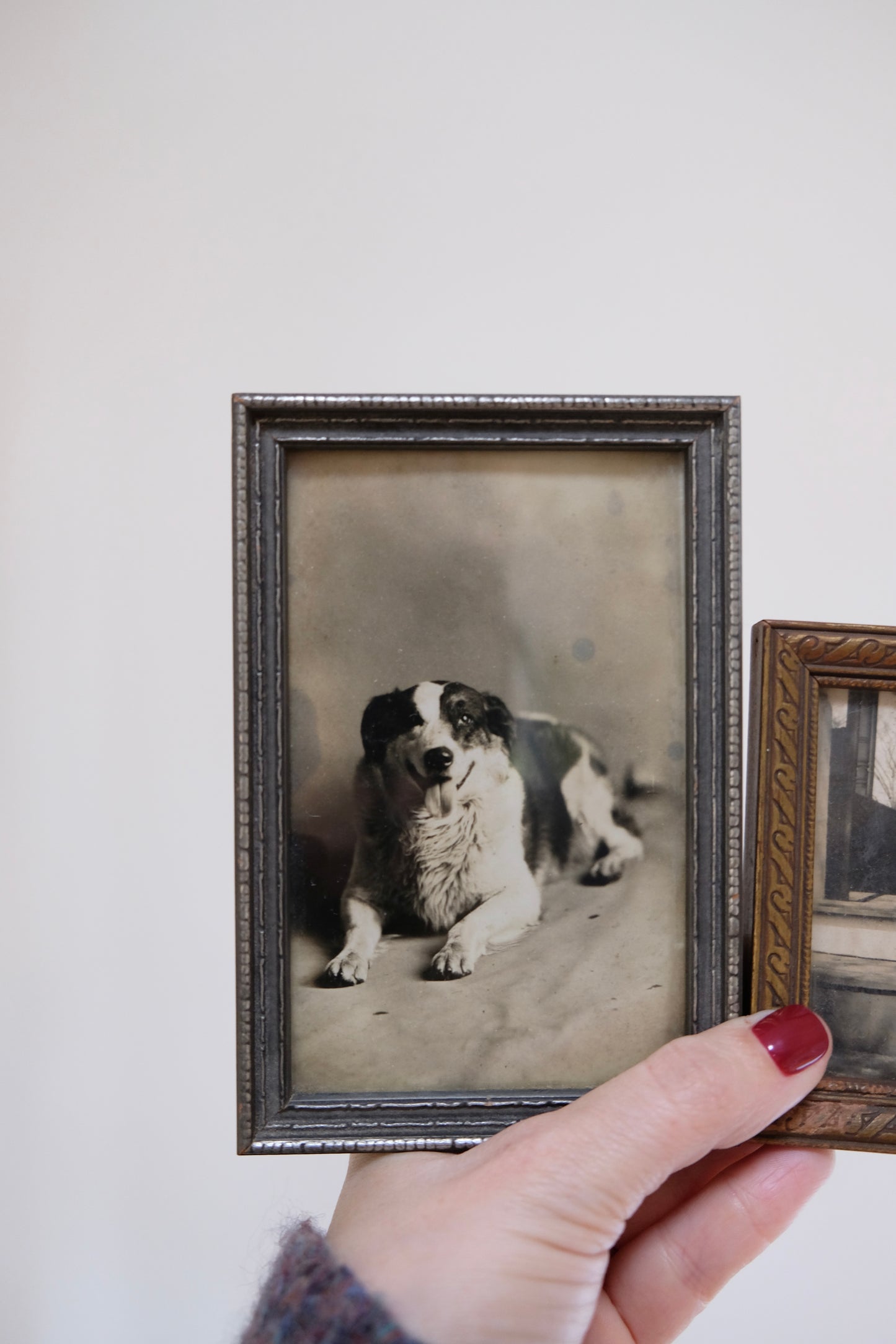 Almost Antique Photo of “Prince” the Pup, dated 1927