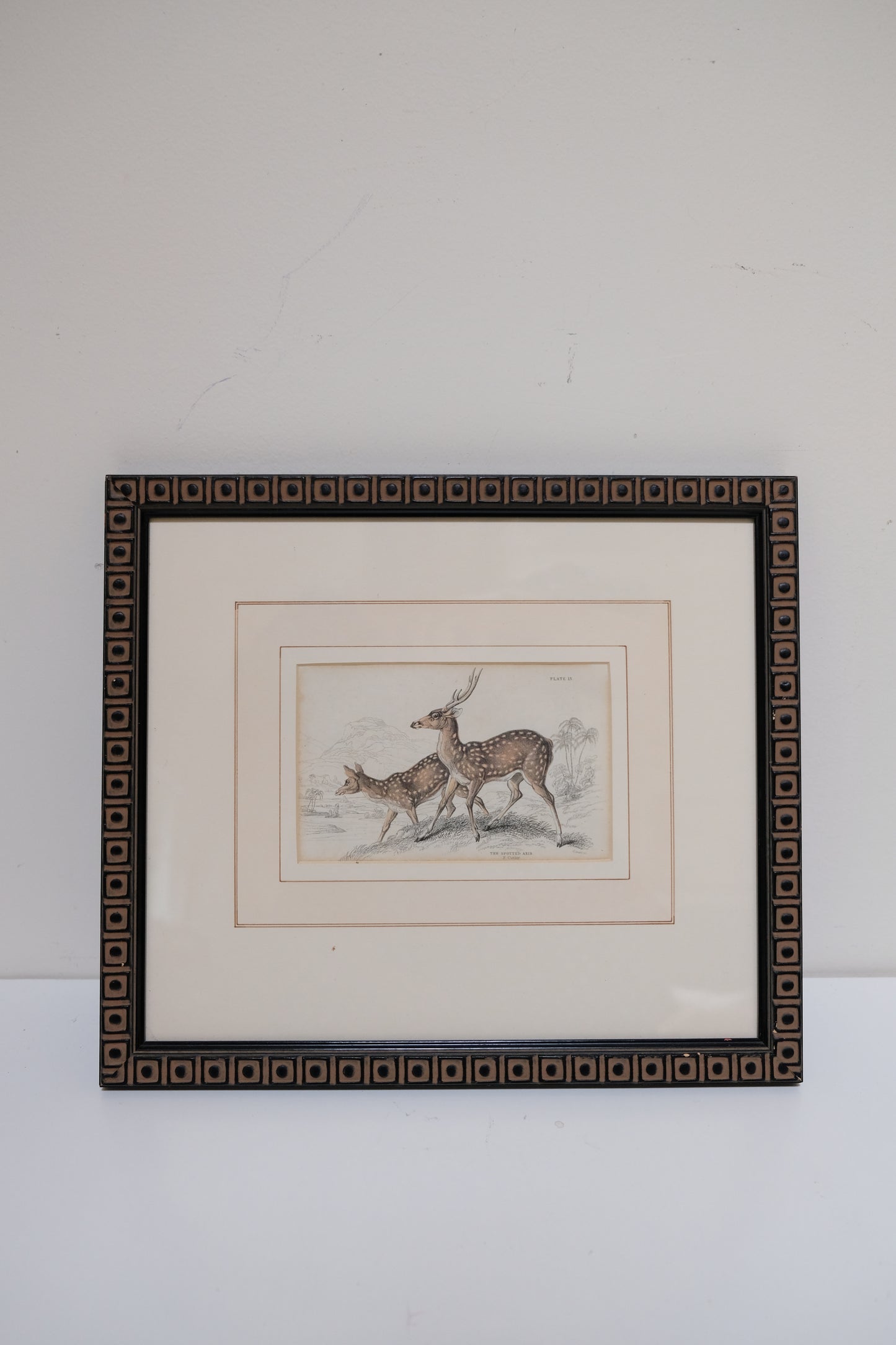 Pair of Antique Hand-Colored Deer Engravings
