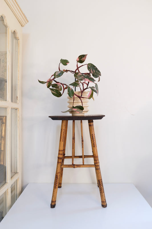 Vintage Burnt Bamboo Plant Stand with Wooden Top