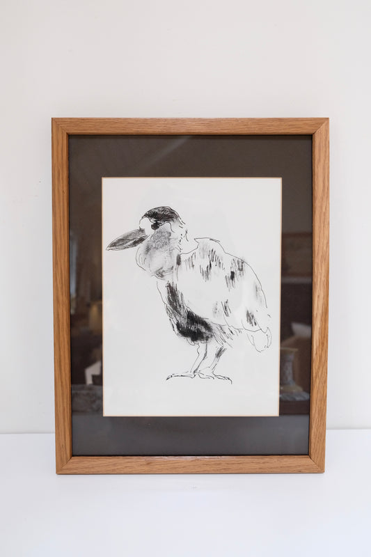 Framed Vintage Pen Sketch of a Bird