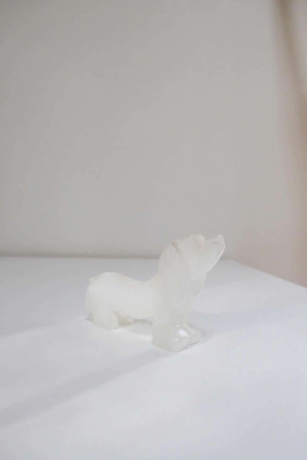 Alabaster Dog
