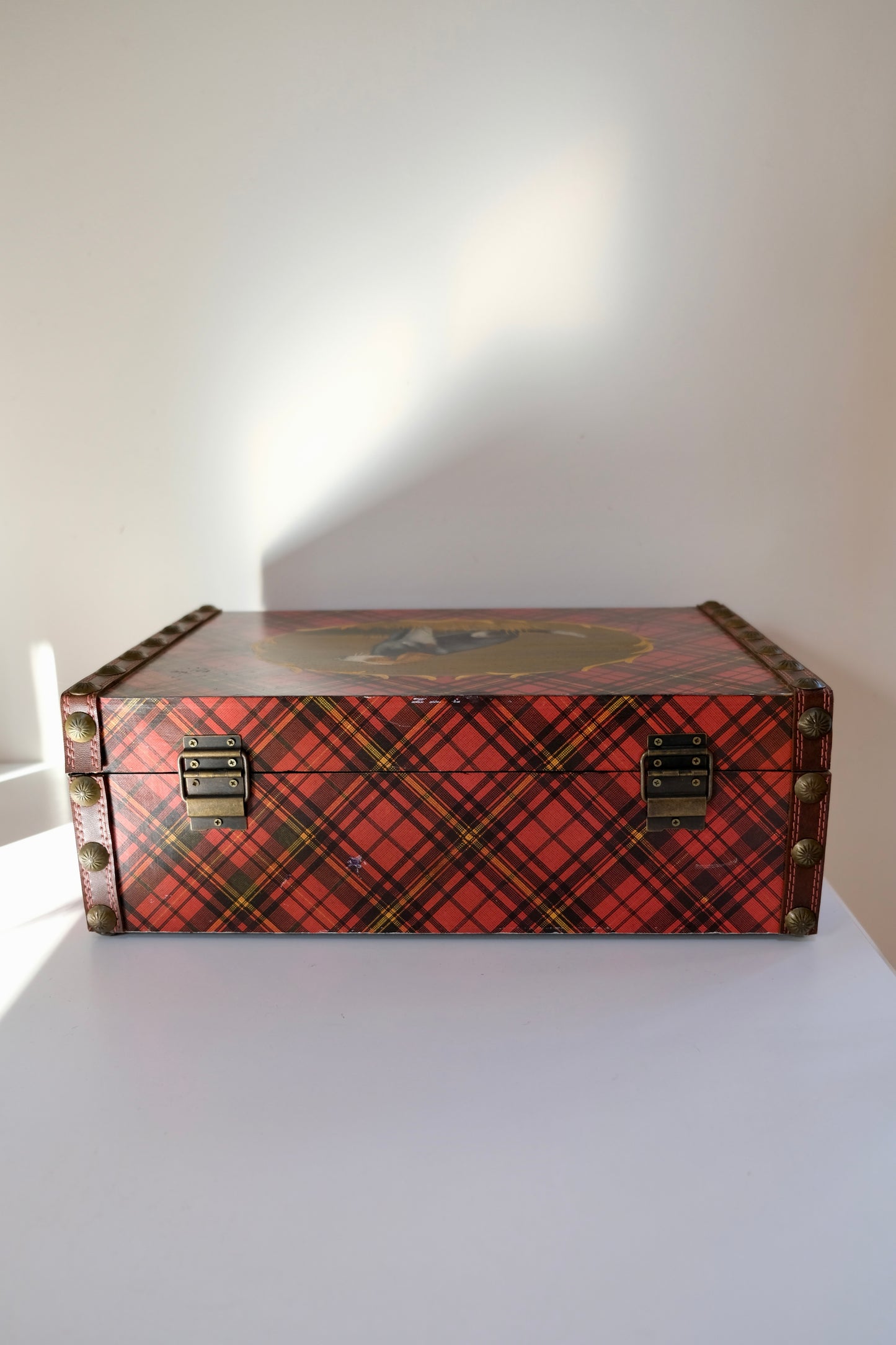 Vintage Hand-Painted Dog Tartan Case with Velvet Interior